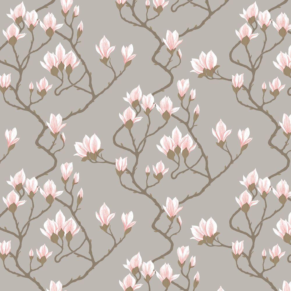 Sweet Magnolias Wallpapers Top Free Sweet Magnolias Backgrounds