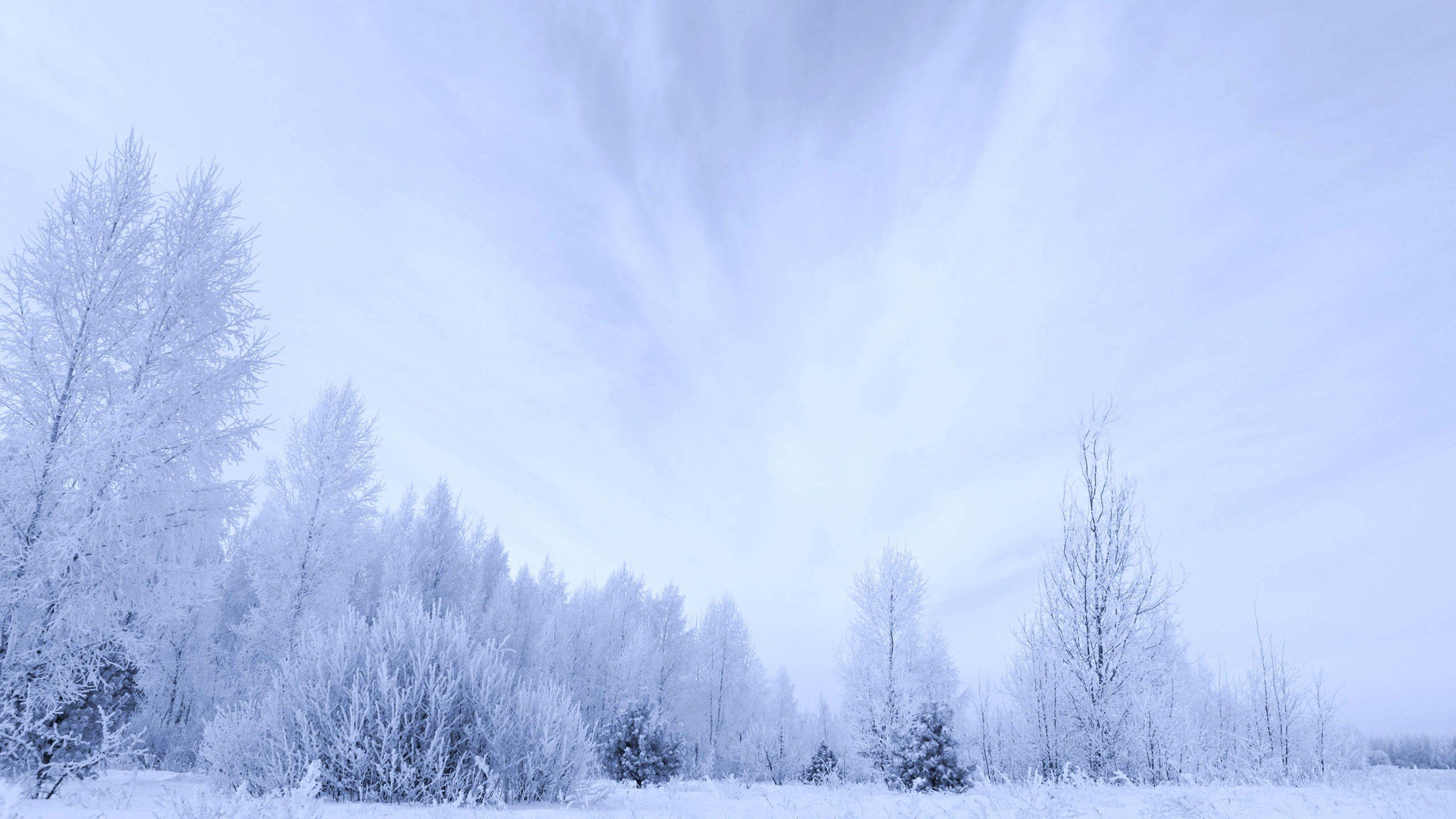 Winter Sky Wallpapers Top Free Winter Sky Backgrounds WallpaperAccess