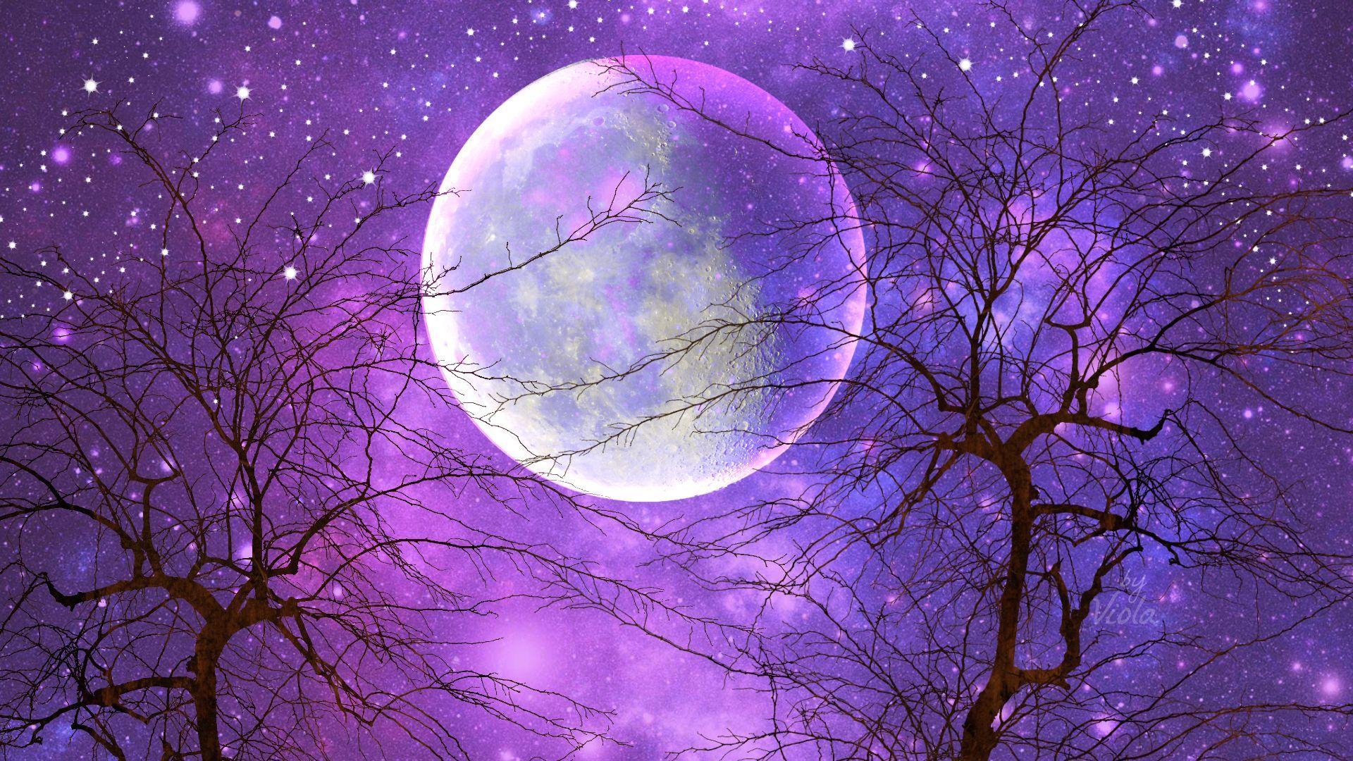Beautiful Purple Moon Wallpapers Top Free Beautiful Purple Moon