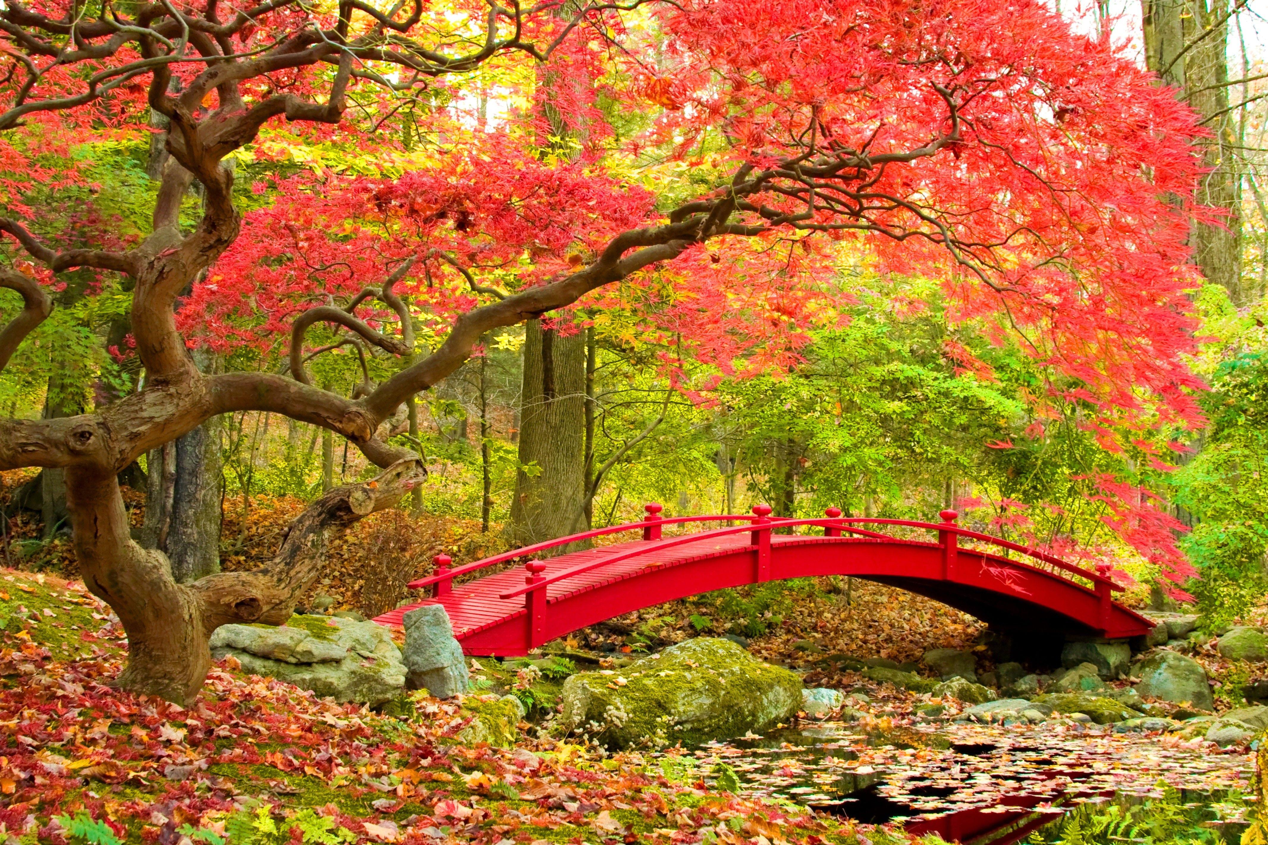 Japanese Nature Wallpapers Top Free Japanese Nature Backgrounds