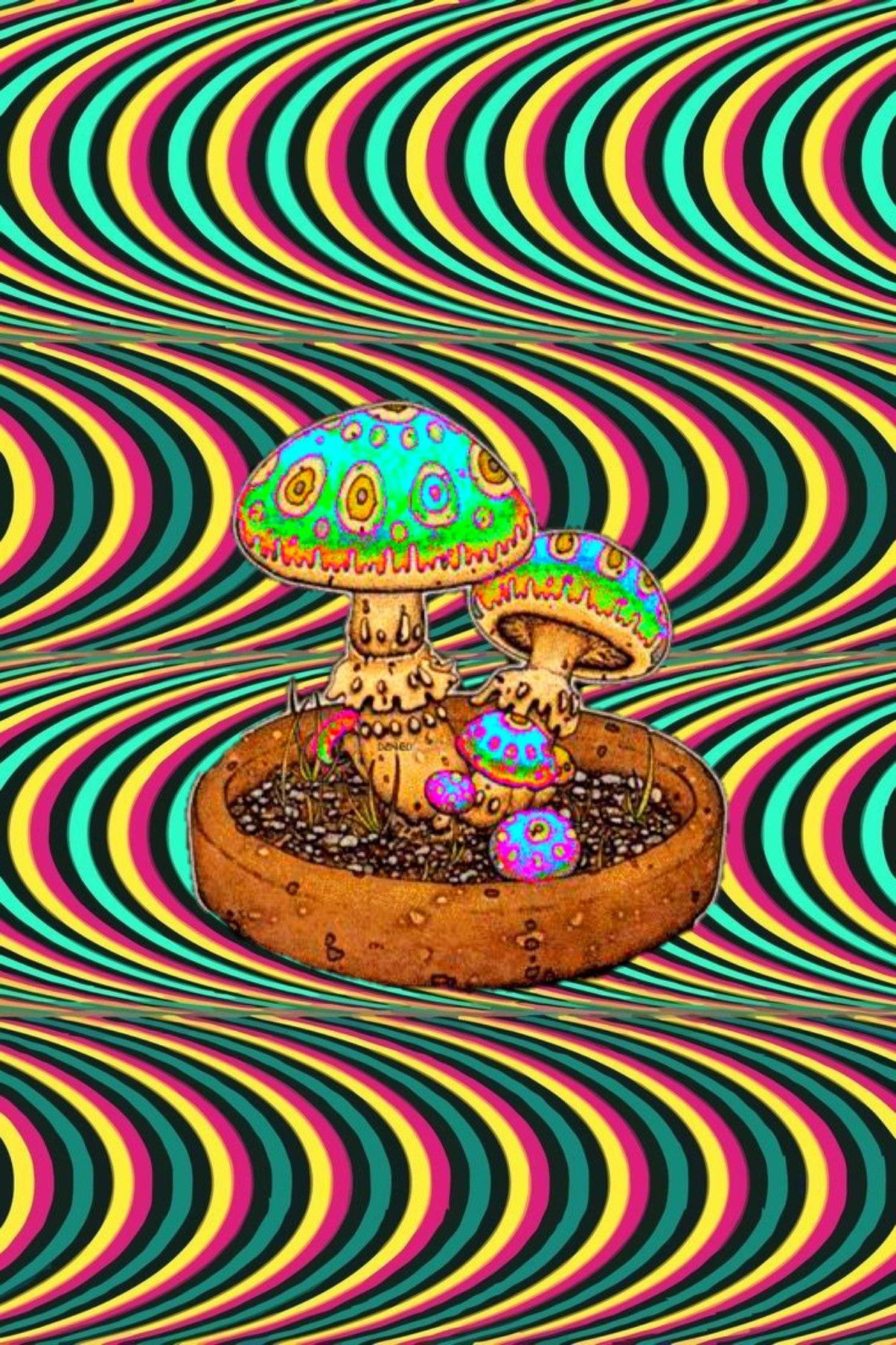 Hippie Psychedelic Art Wallpapers Top Free Hippie Psychedelic Art