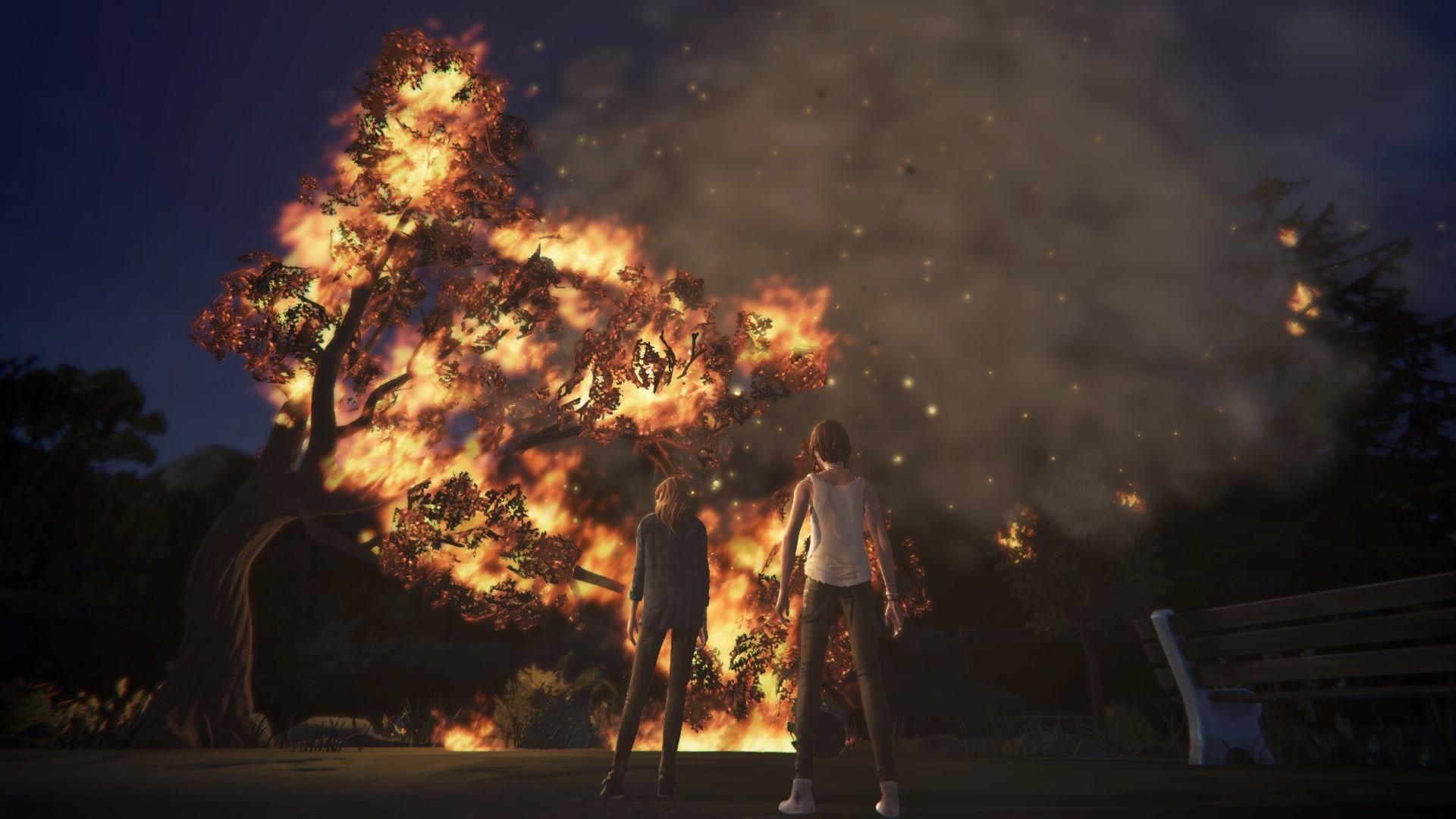 Life Is Strange Before the Storm Wallpapers Top Free Life Is Strange