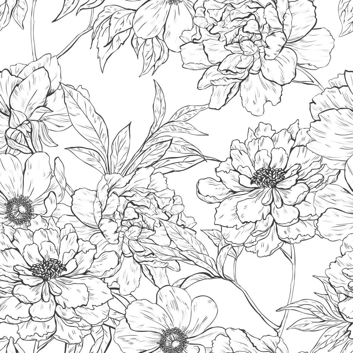 Simple White Floral Wallpapers Top Free Simple White Floral
