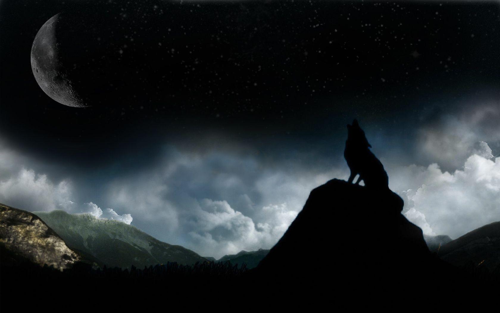 Dark Wolf Wallpapers Top Free Dark Wolf Backgrounds WallpaperAccess