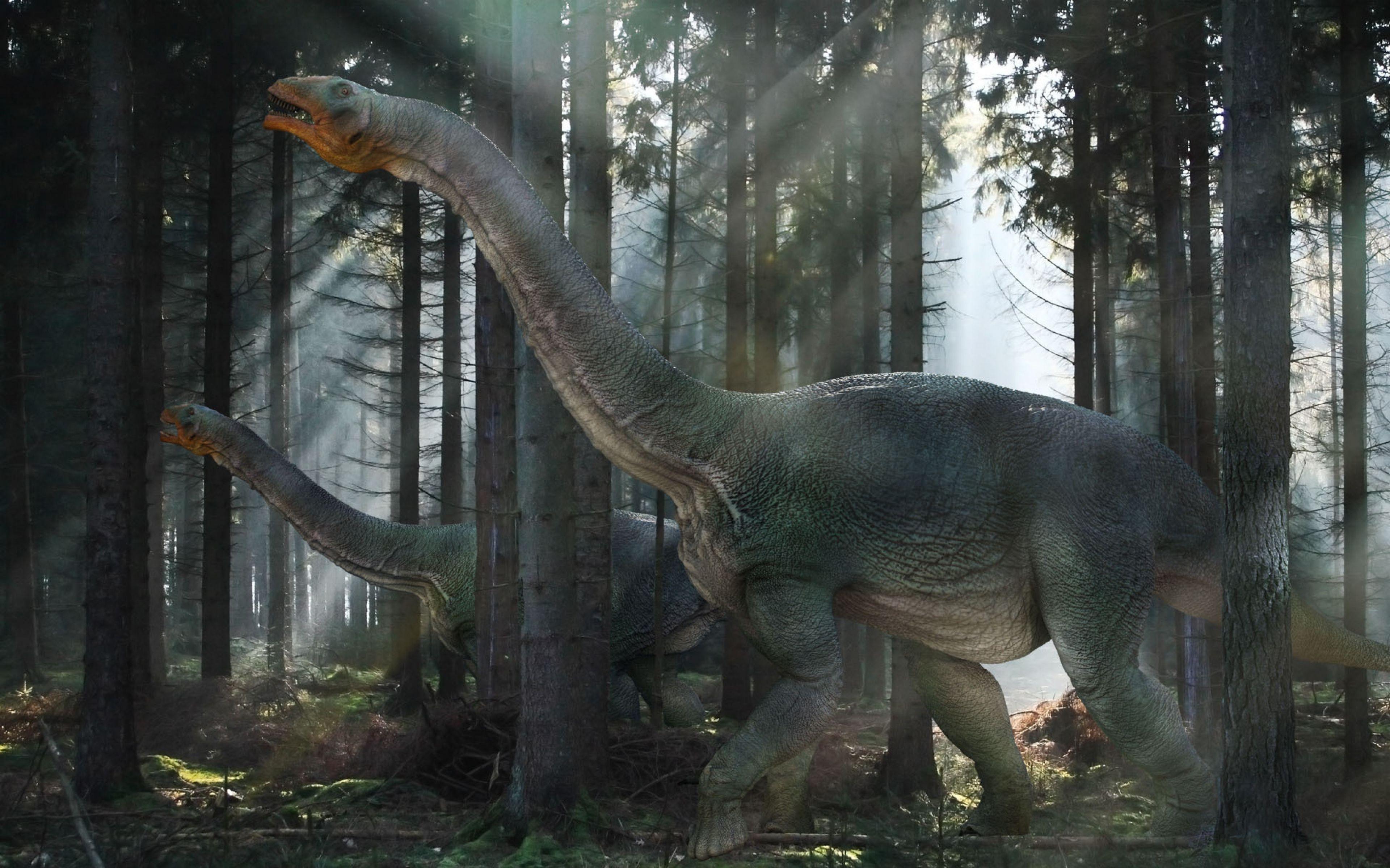 Dinosaur 4K Wallpapers Top Free Dinosaur 4K Backgrounds WallpaperAccess