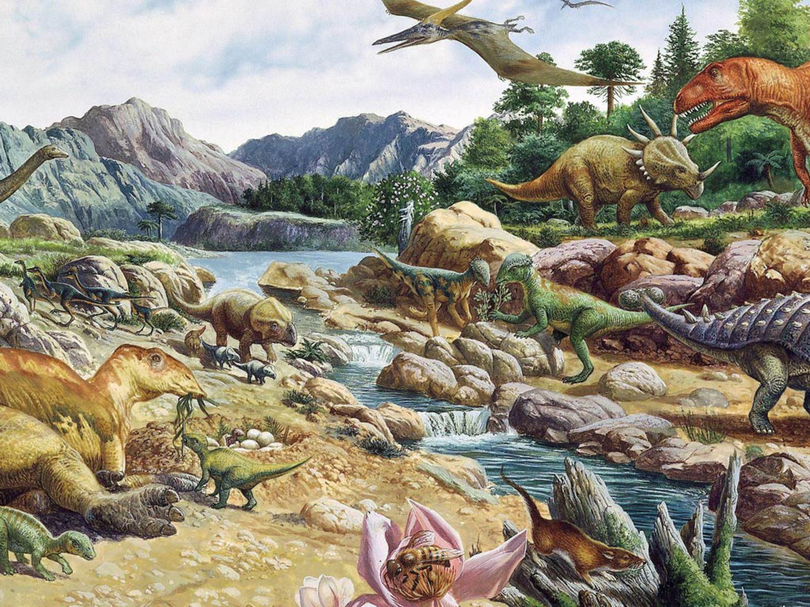Dinosaur 4K Wallpapers Top Free Dinosaur 4K Backgrounds WallpaperAccess