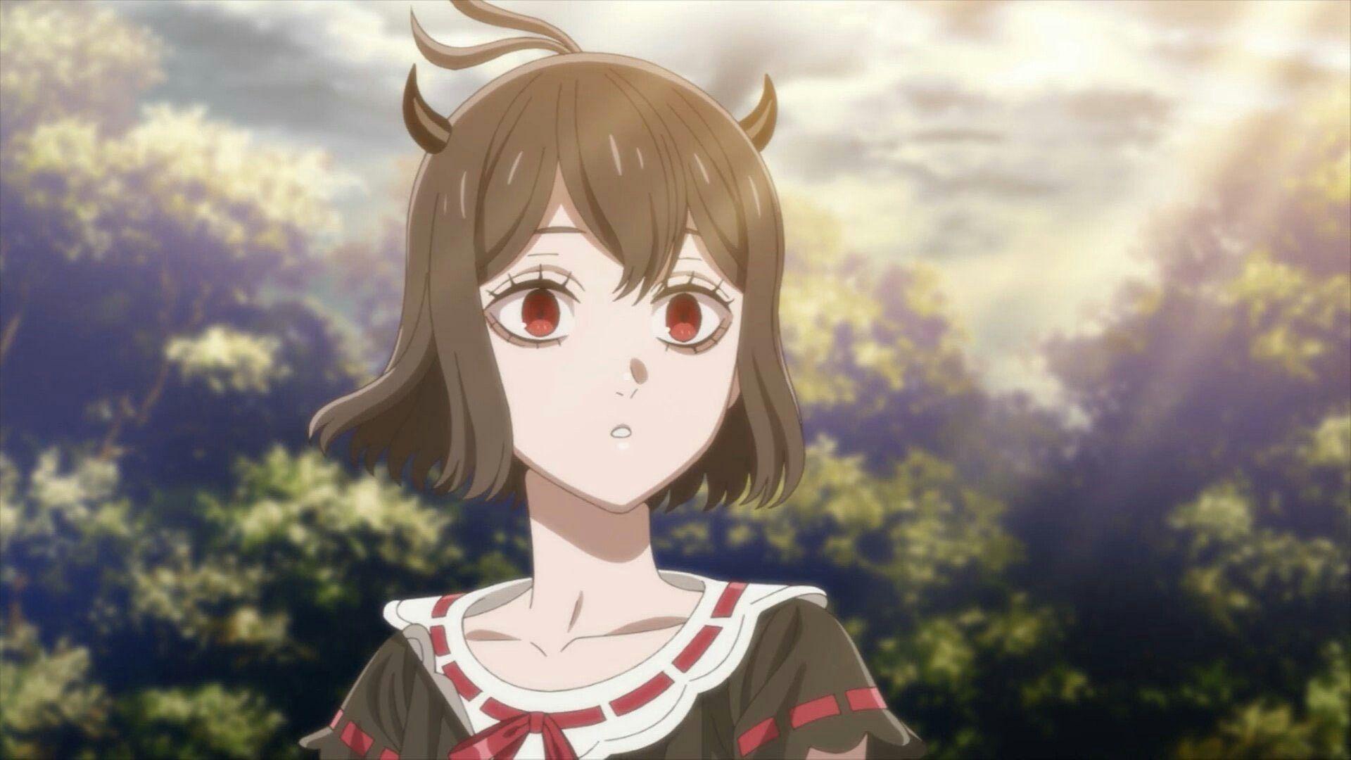 Secre Swallowtail Wallpapers Top Free Secre Swallowtail Backgrounds