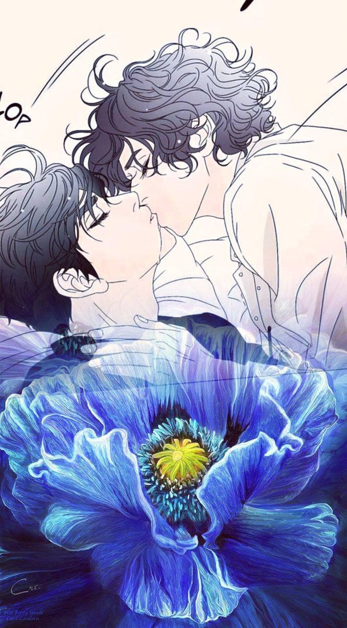 Gay Love Wallpapers Top Free Gay Love Backgrounds WallpaperAccess