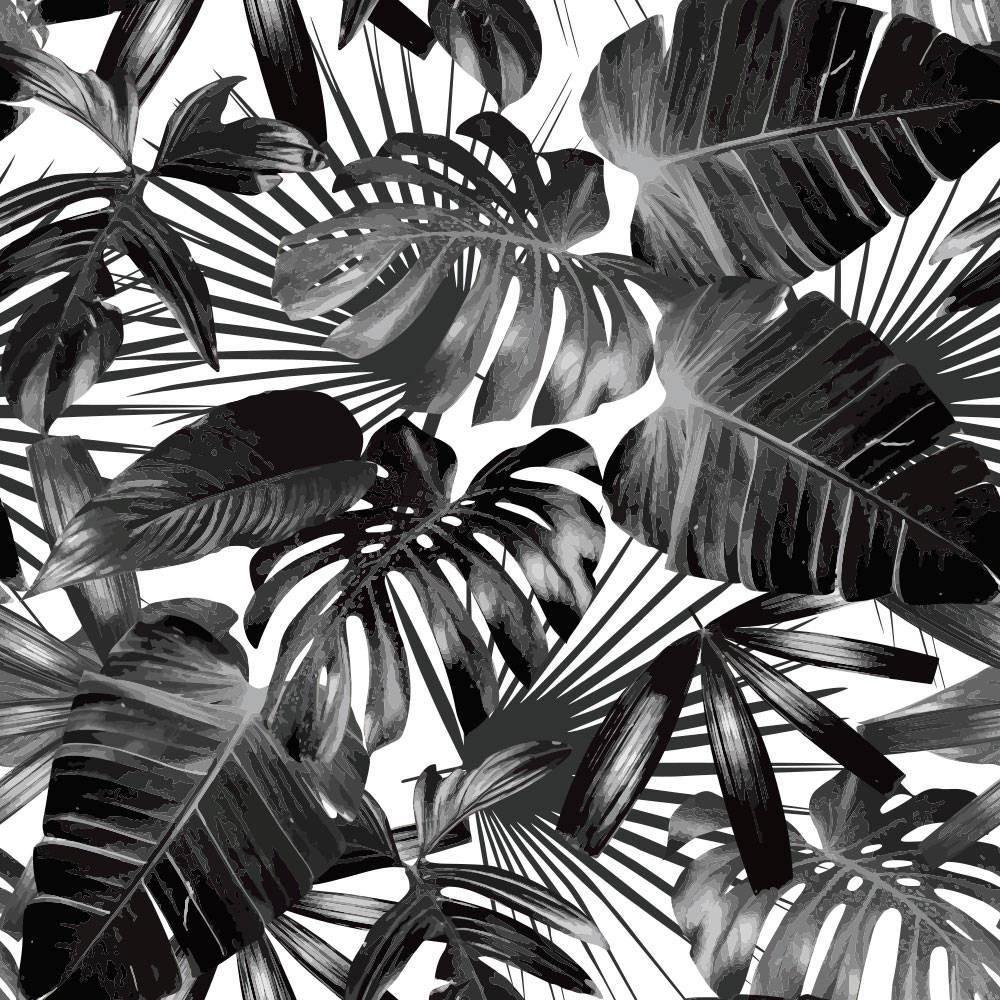 Black and White Palm Tree Wallpapers Top Free Black and White Palm