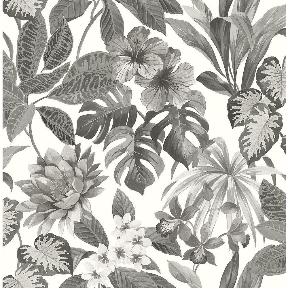 Black and White Tropical Wallpapers Top Free Black and White Tropical