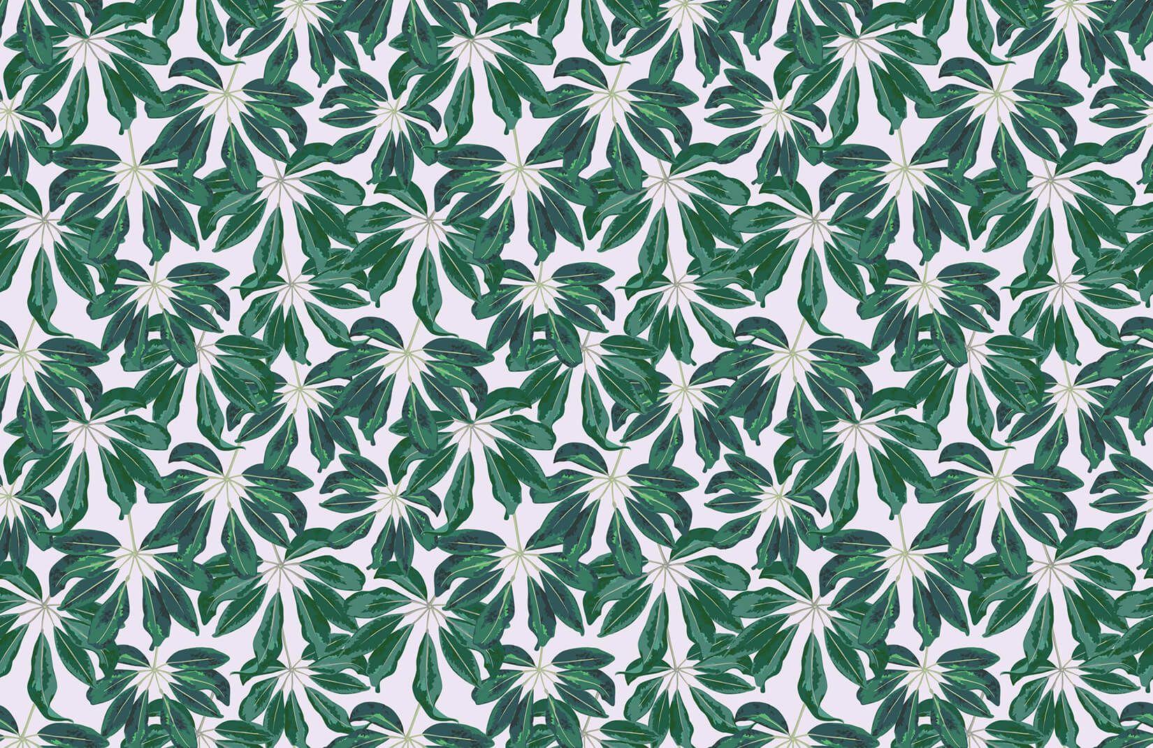 Black and White Tropical Wallpapers Top Free Black and White Tropical