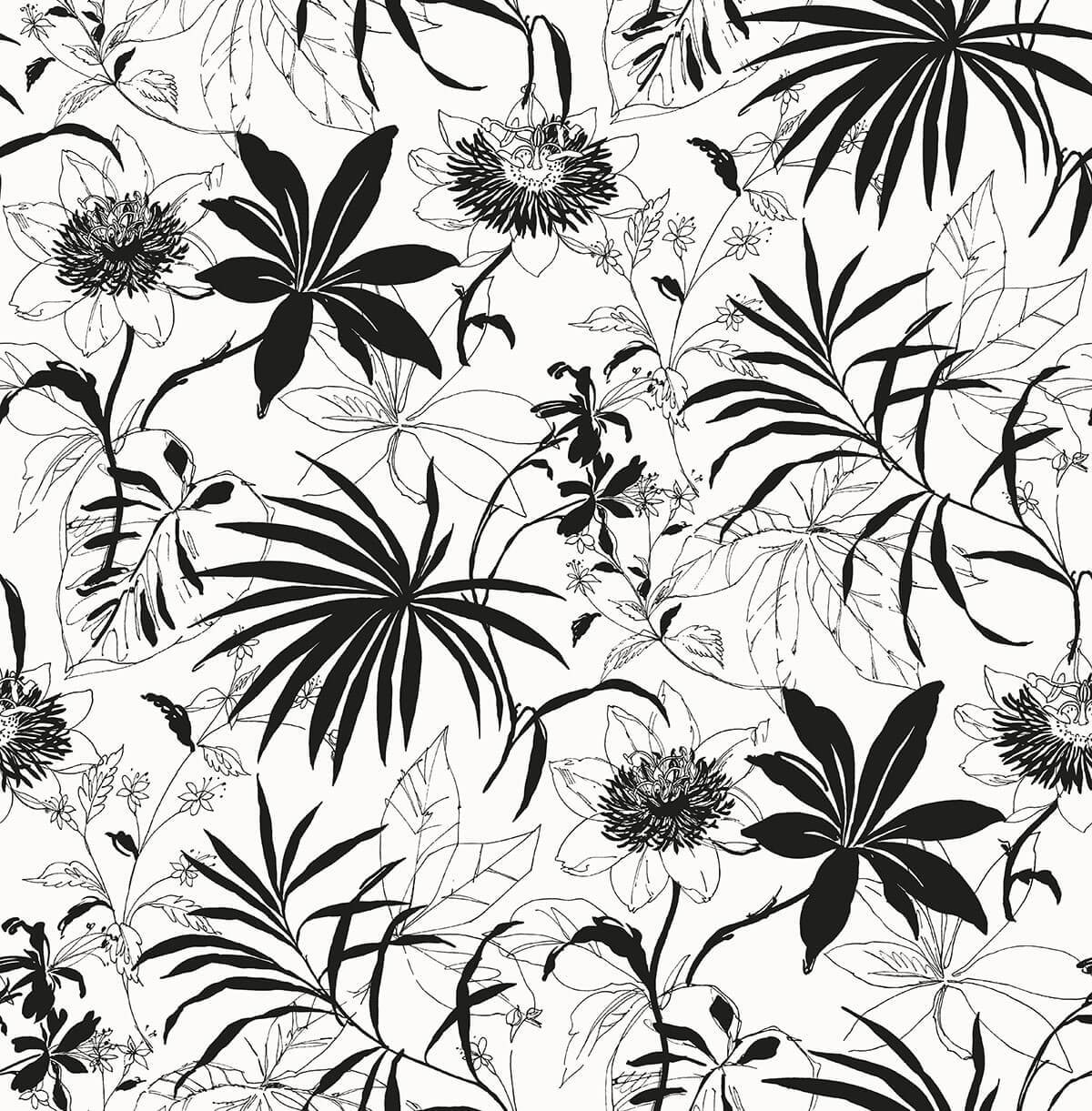 Black and White Tropical Wallpapers Top Free Black and White Tropical