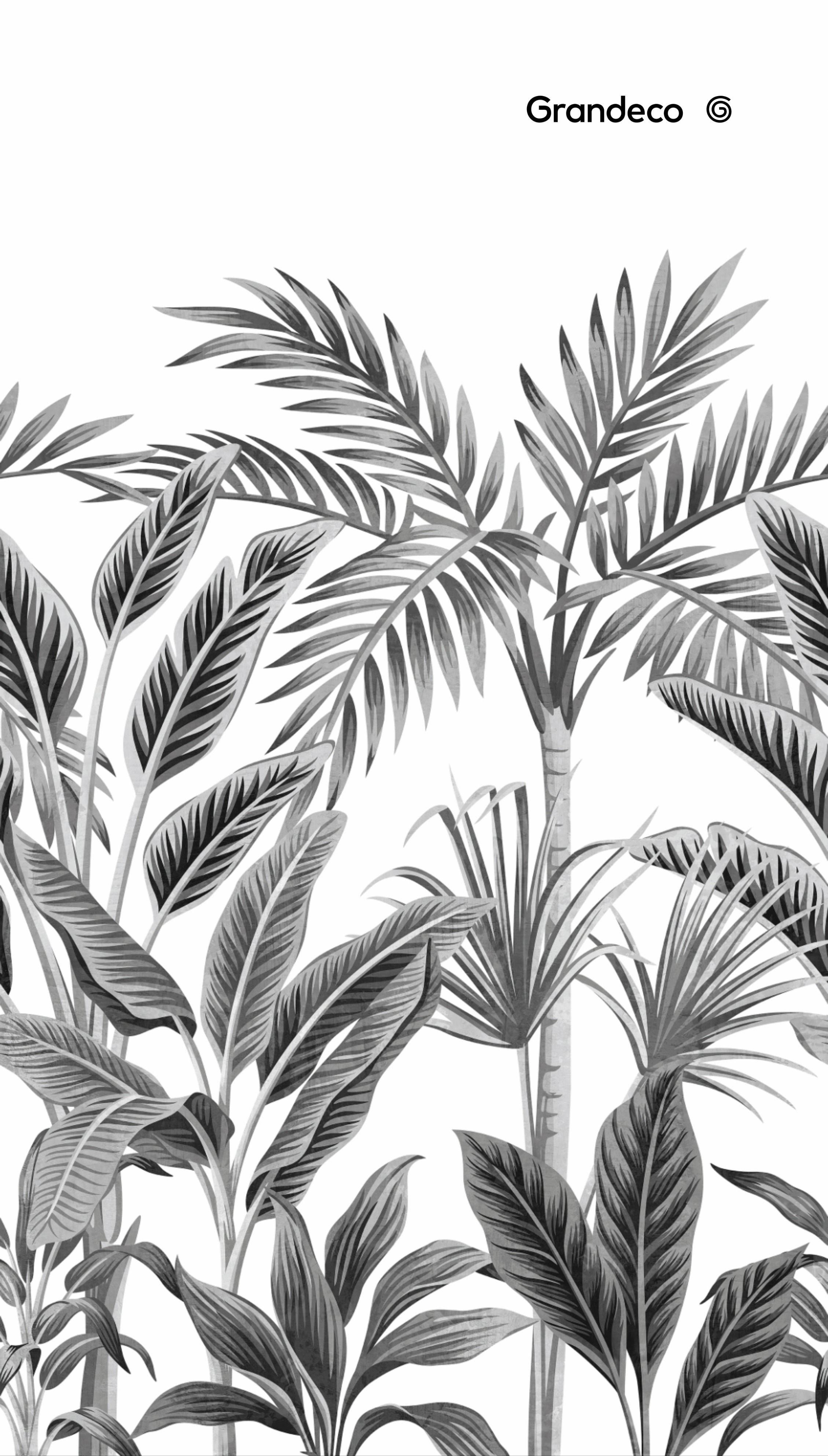 Black and White Tropical Wallpapers Top Free Black and White Tropical