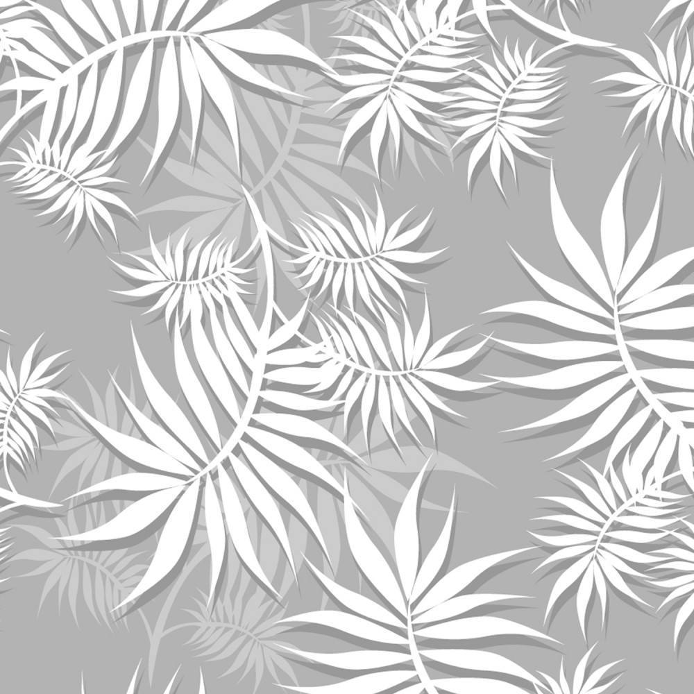 Black and White Tropical Wallpapers Top Free Black and White Tropical