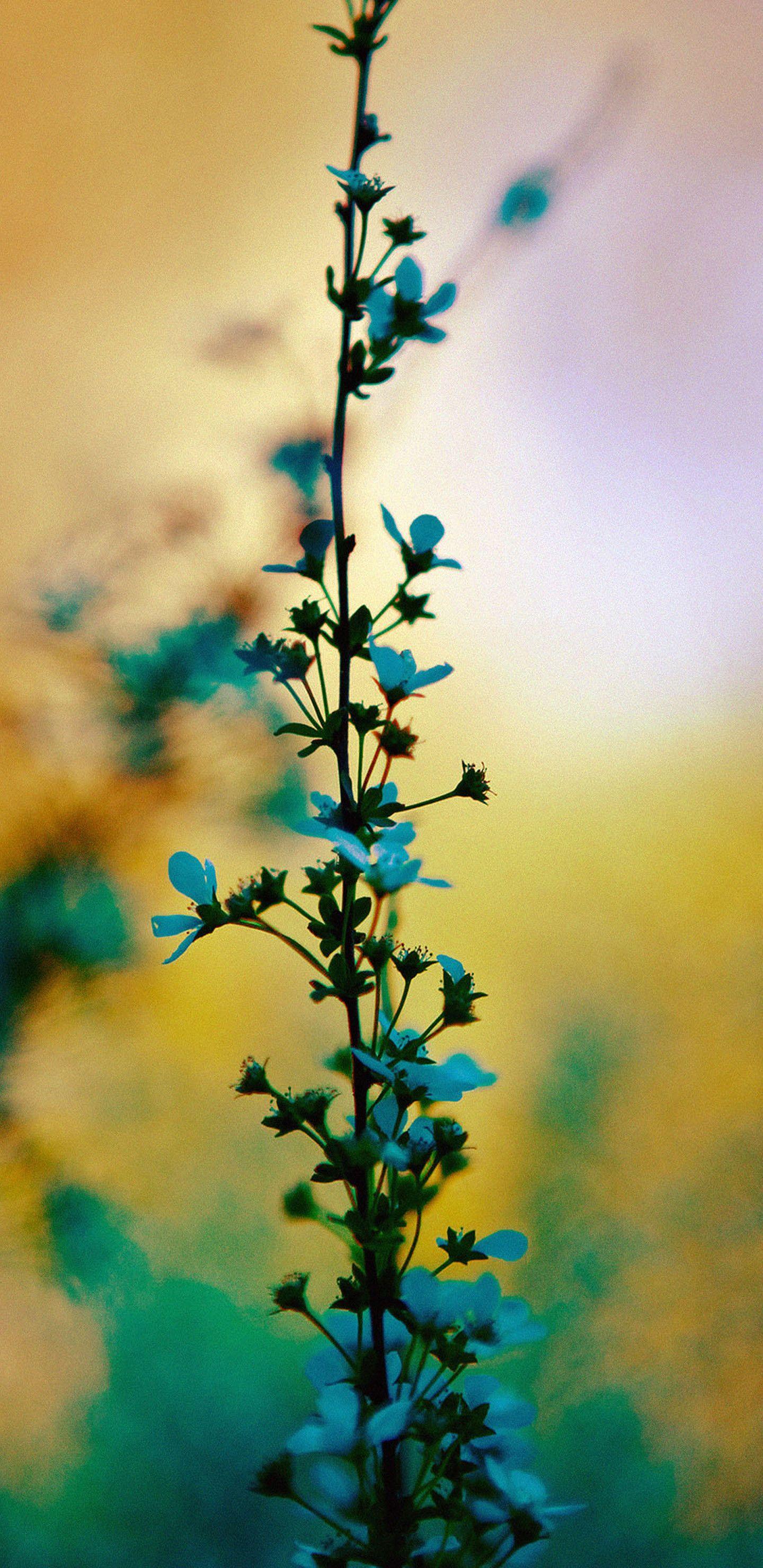 Bright Floral iPhone Wallpapers Top Free Bright Floral iPhone