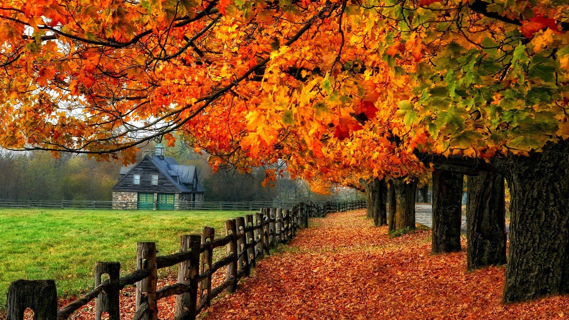 Autumn House Wallpapers - Top Free Autumn House Backgrounds
