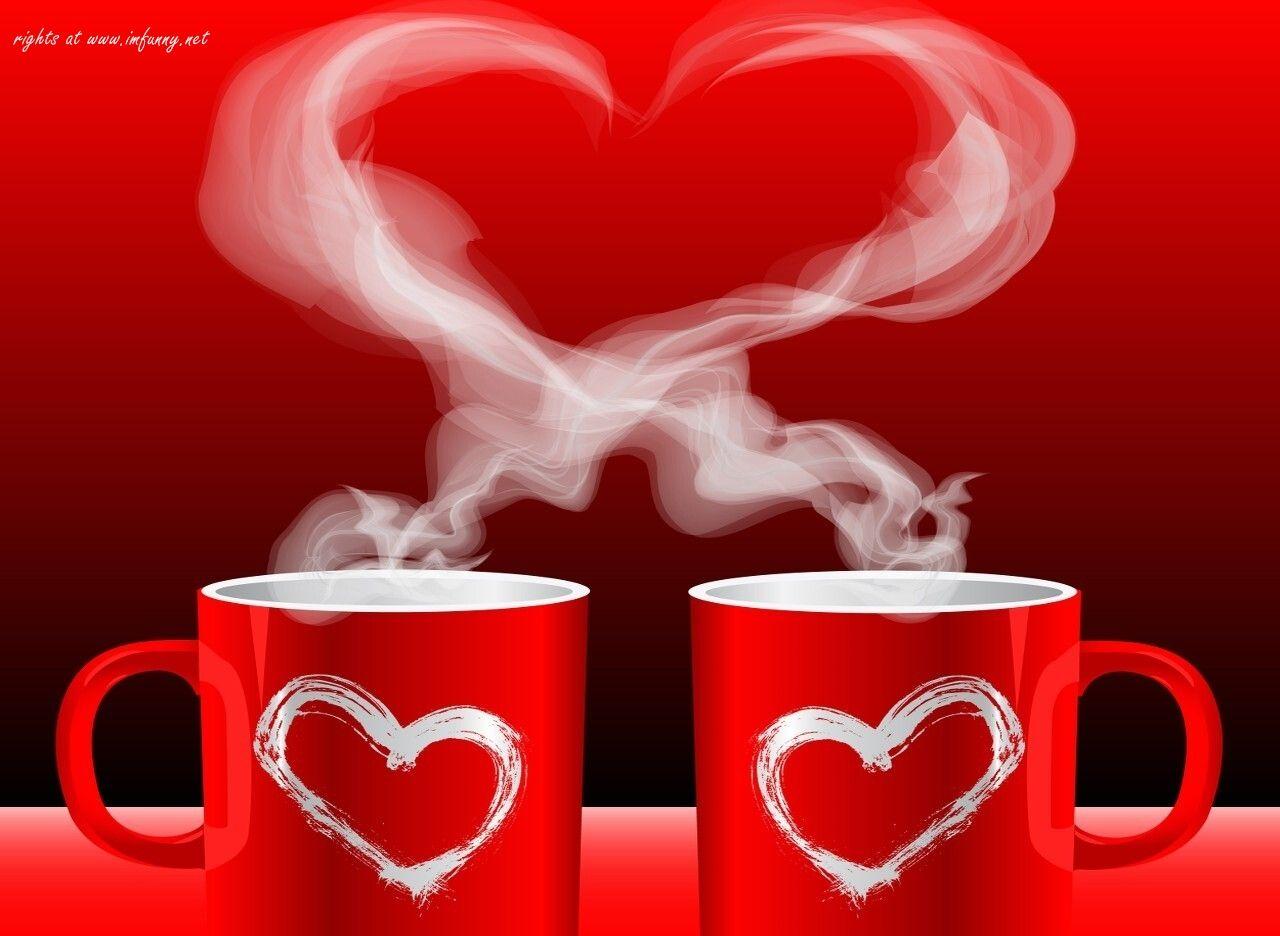 Funny Valentine Day Wallpapers Top Free Funny Valentine Day Backgrounds WallpaperAccess