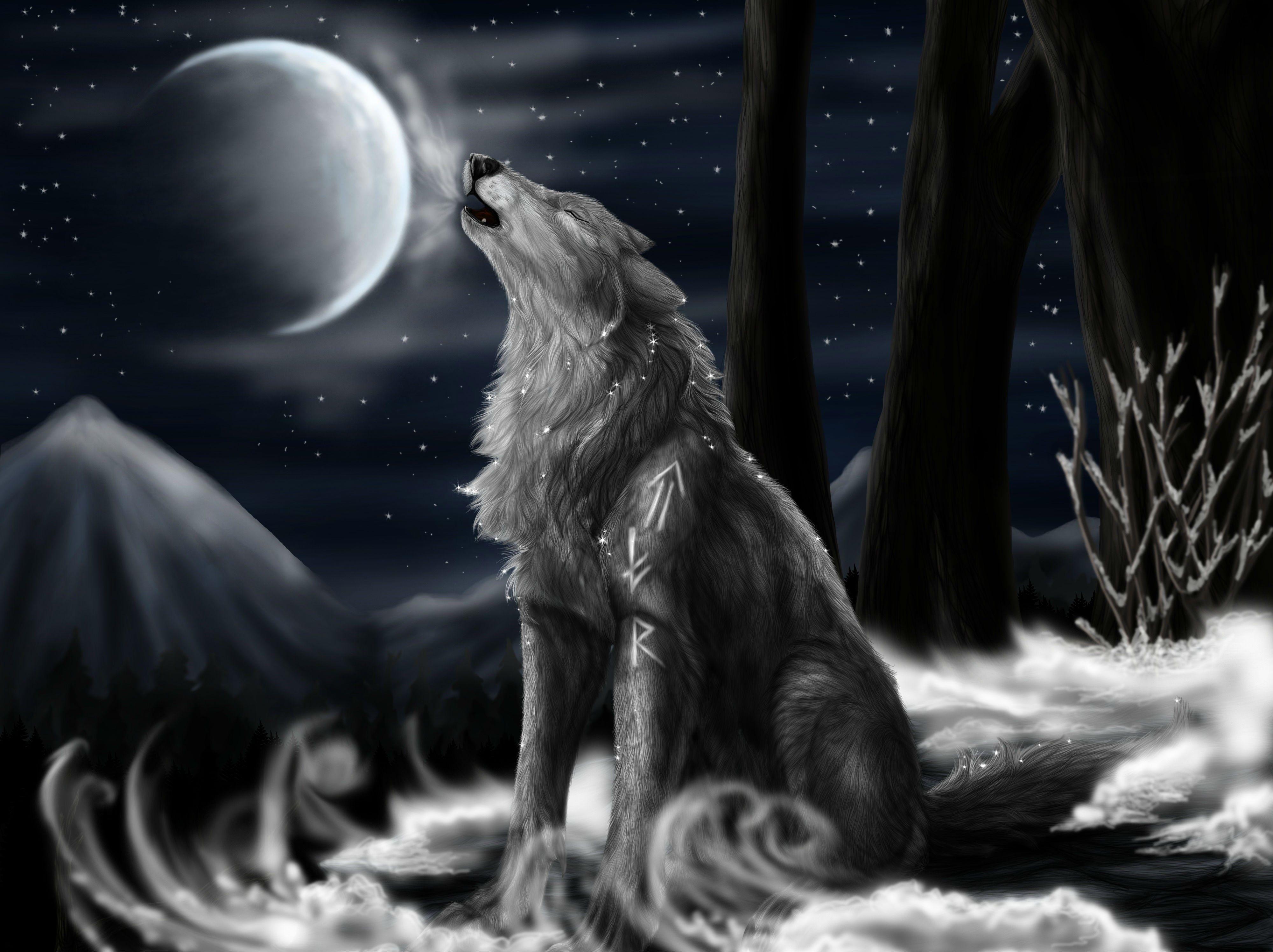 Wolf Drawing Wallpapers Top Free Wolf Drawing Backgrounds