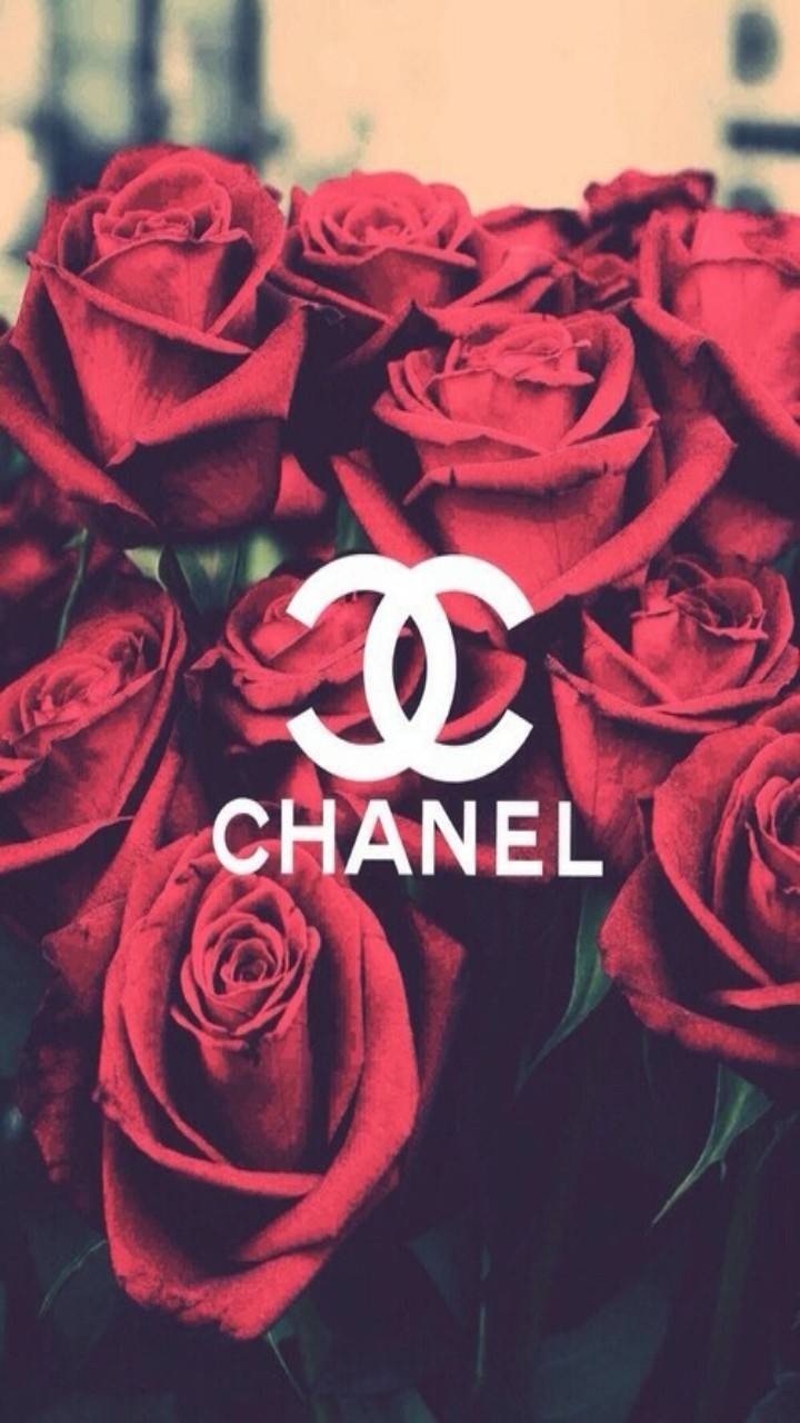 Chanel Roses Wallpapers Top Free Chanel Roses Backgrounds