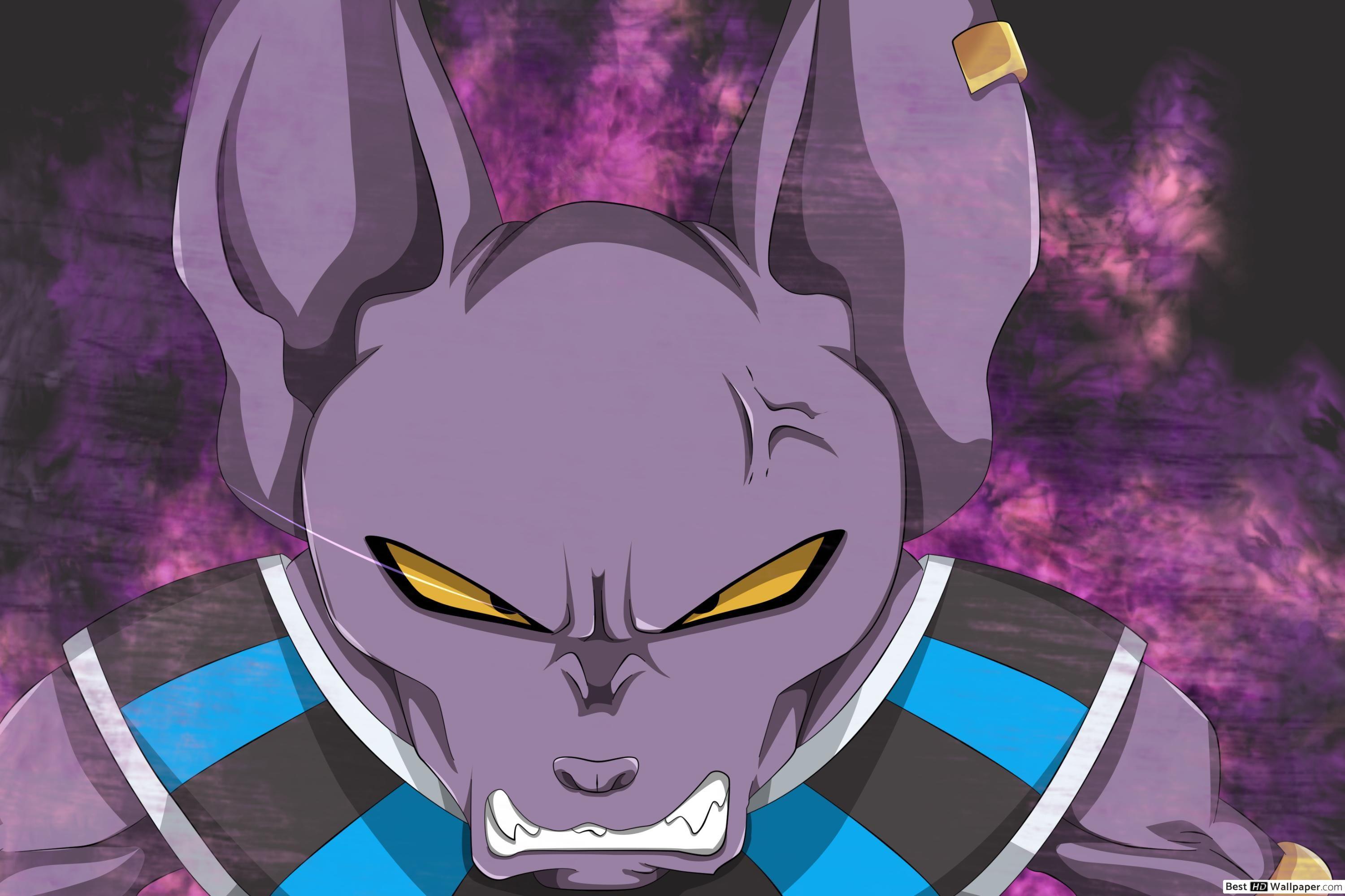 Dragon Ball Super Beerus Wallpapers Top Free Dragon Ball Super Beerus
