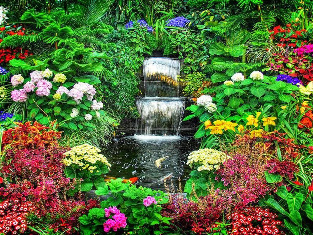 Waterfall Flowers Wallpapers Top Free Waterfall Flowers Backgrounds