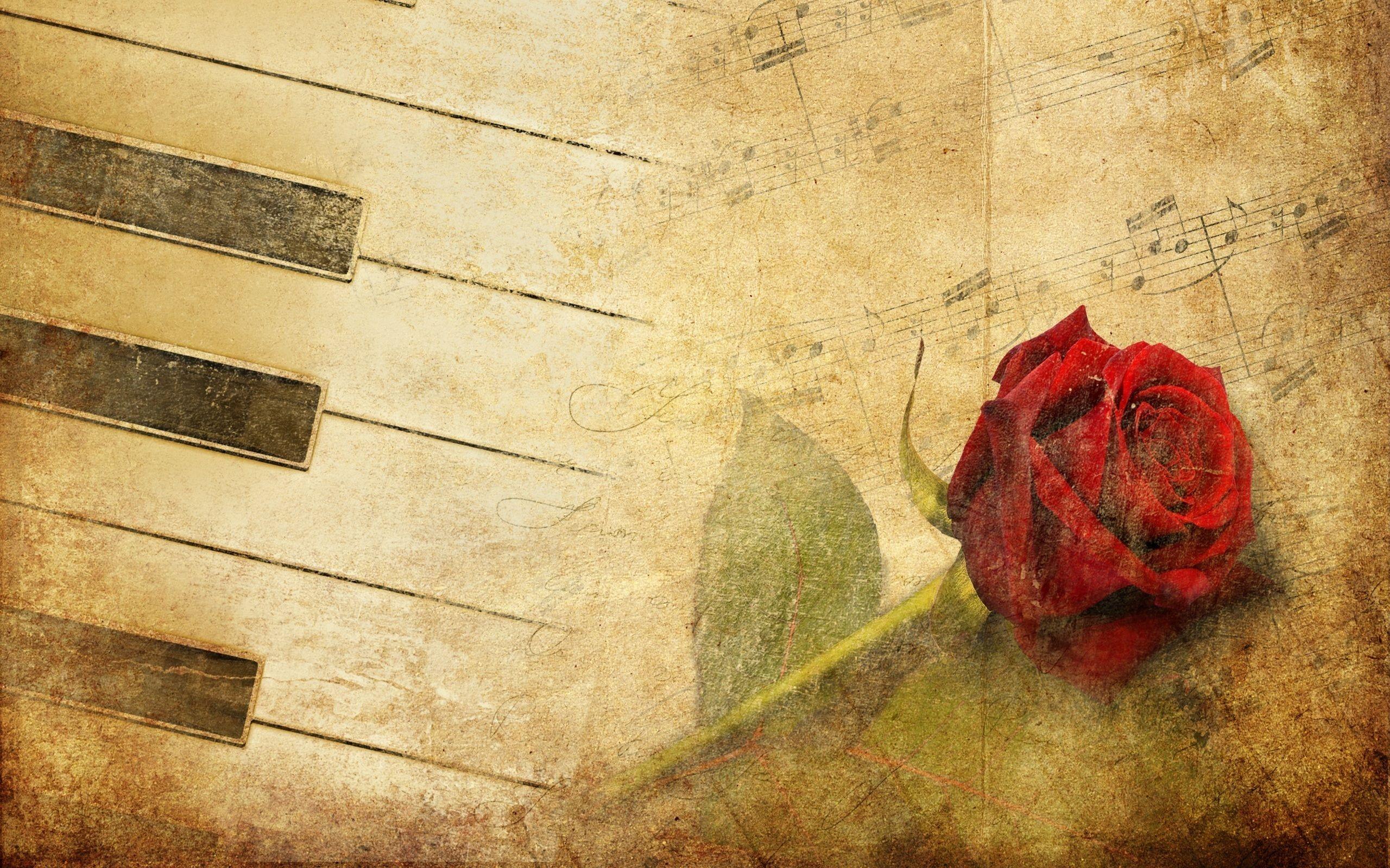 Red Rose Vintage Wallpapers Top Free Red Rose Vintage Backgrounds