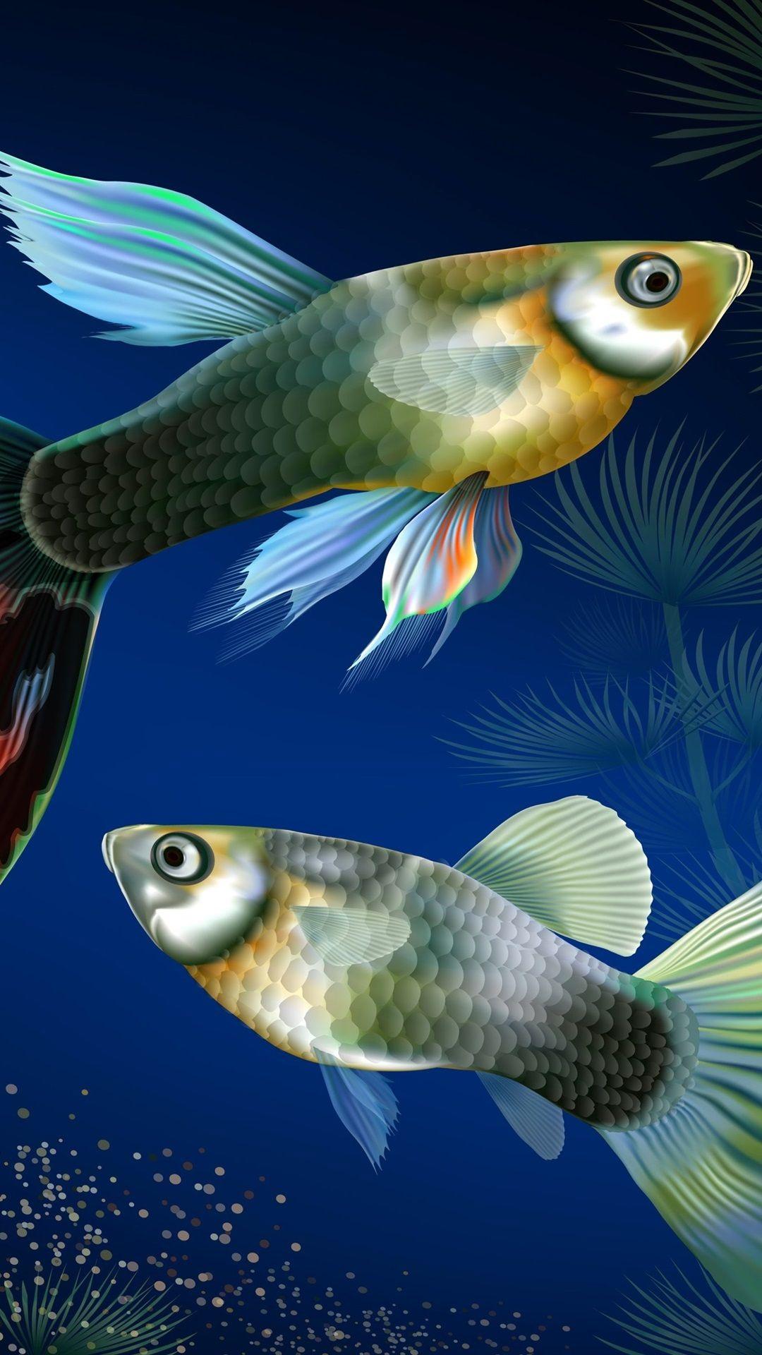 Color Fish Wallpapers Top Free Color Fish Backgrounds WallpaperAccess