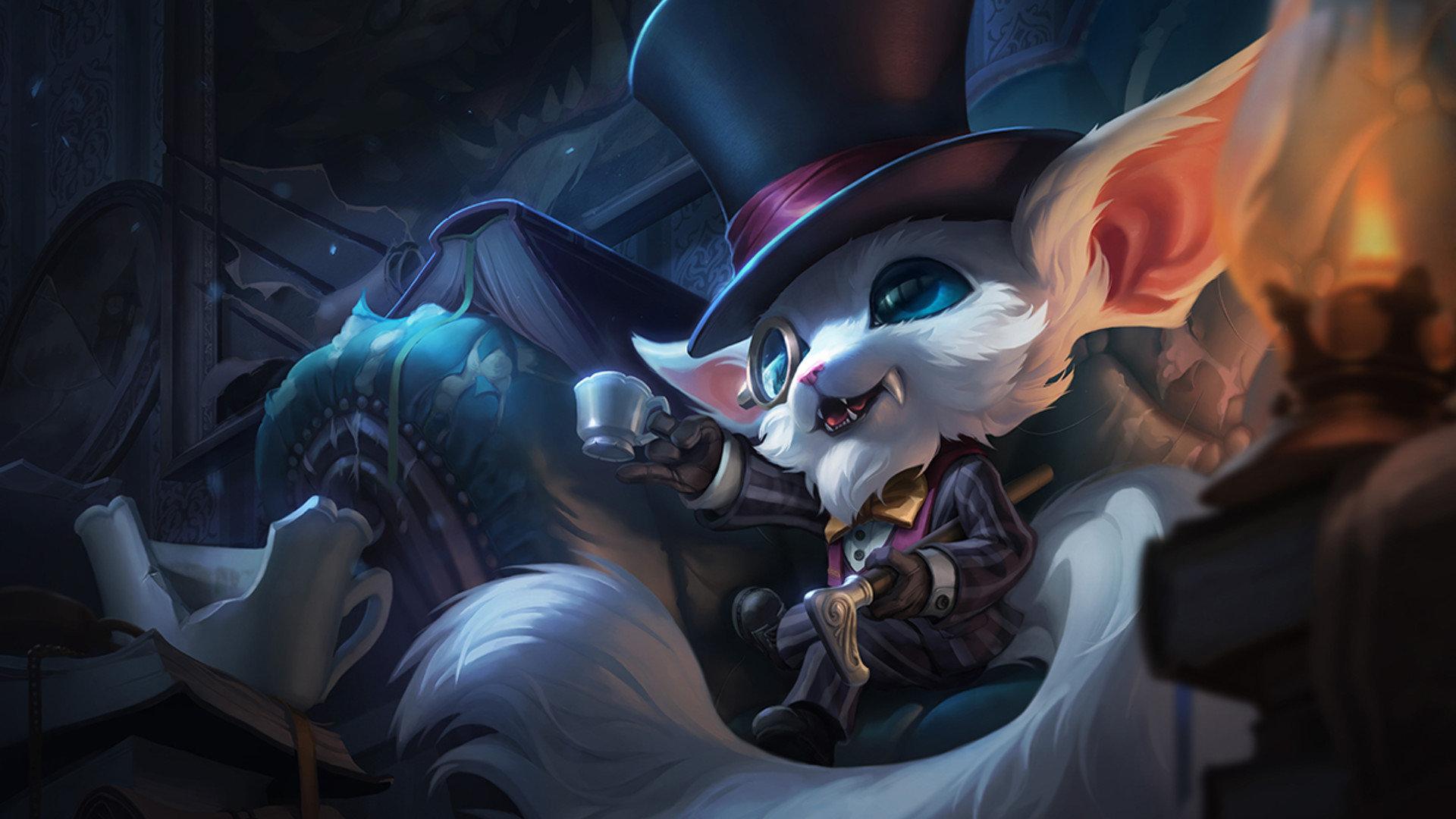 Gnar Wallpapers Top Free Gnar Backgrounds WallpaperAccess