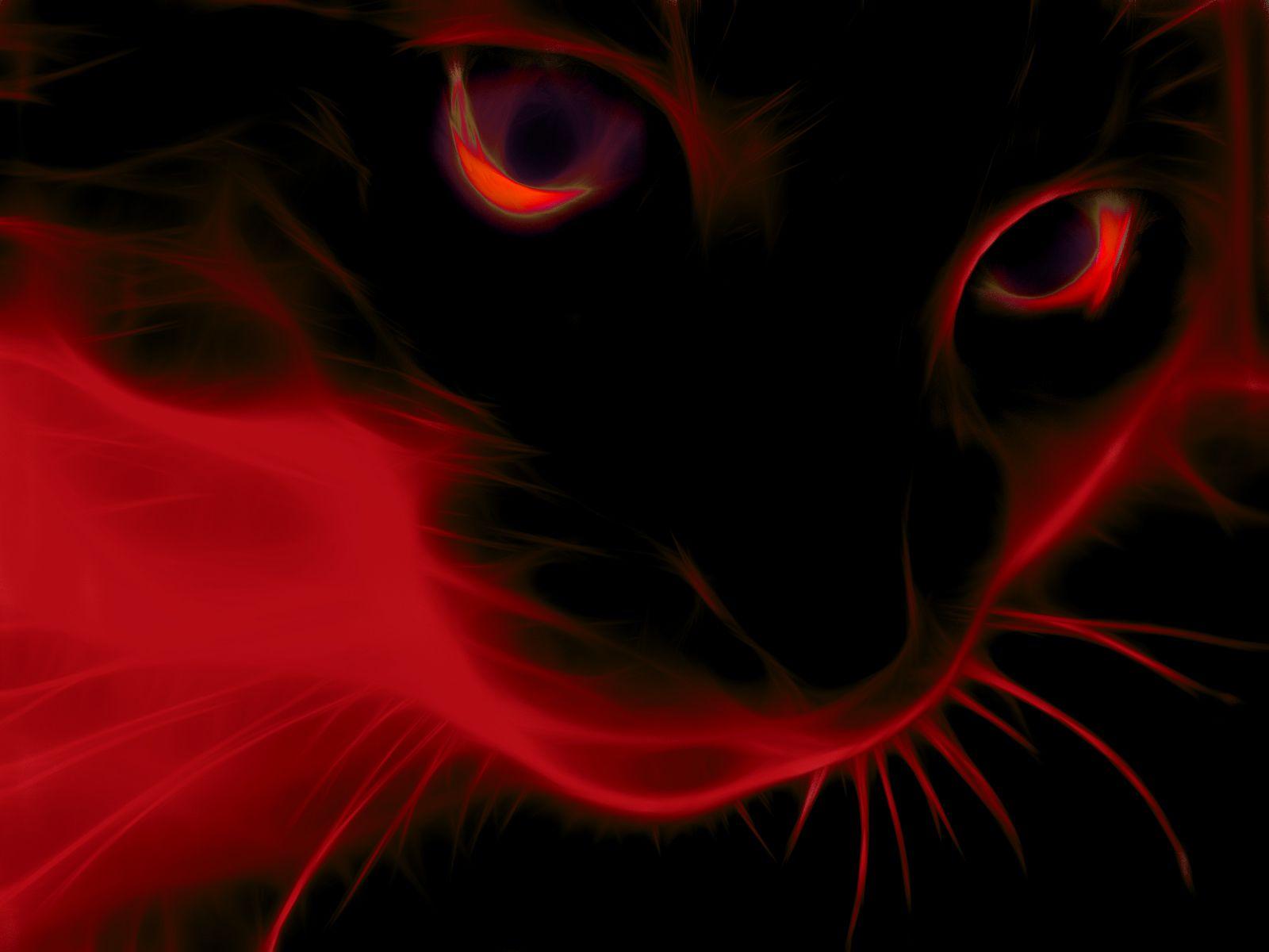 Red Cat Wallpapers Top Free Red Cat Backgrounds WallpaperAccess