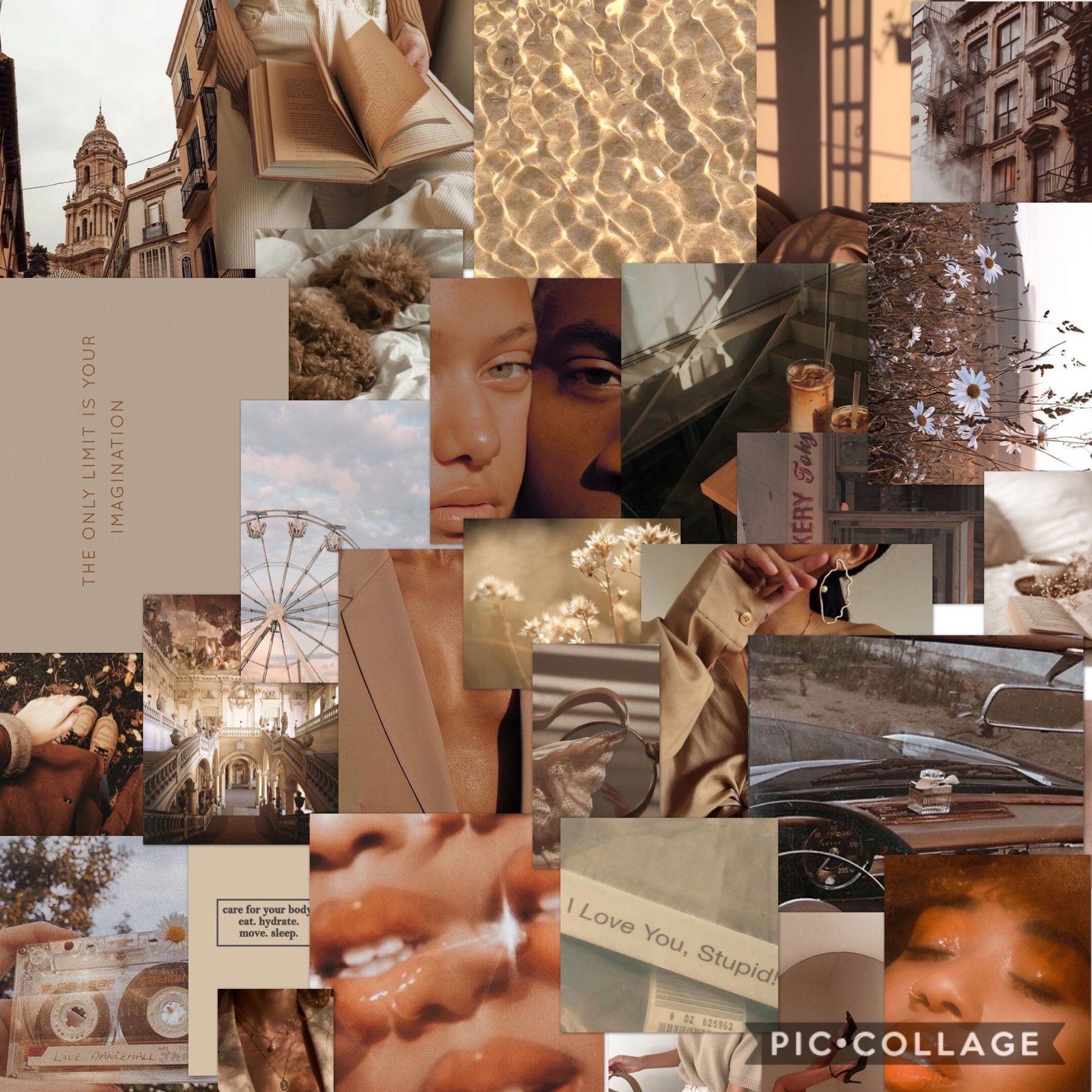 Light Brown Aesthetic Collage Wallpaper Laptop leafonsand