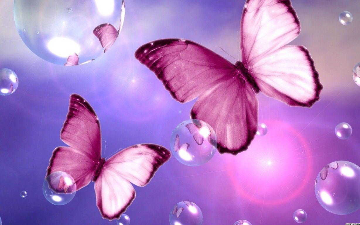 Pink Butterfly Desktop Wallpapers Top Free Pink Butterfly Desktop