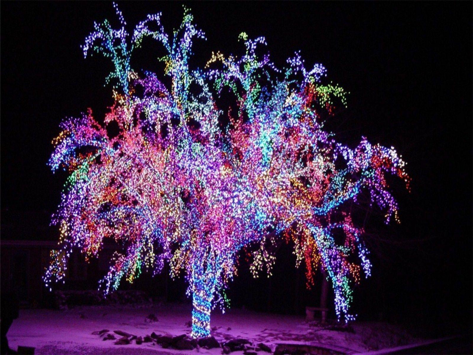 Pink Fairy Lights Wallpapers Top Free Pink Fairy Lights Backgrounds