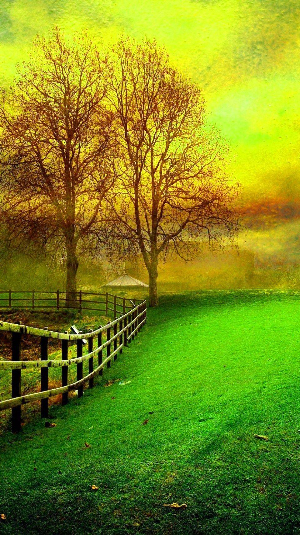 Nature Full Screen Wallpapers Top Free Nature Full Screen Backgrounds WallpaperAccess