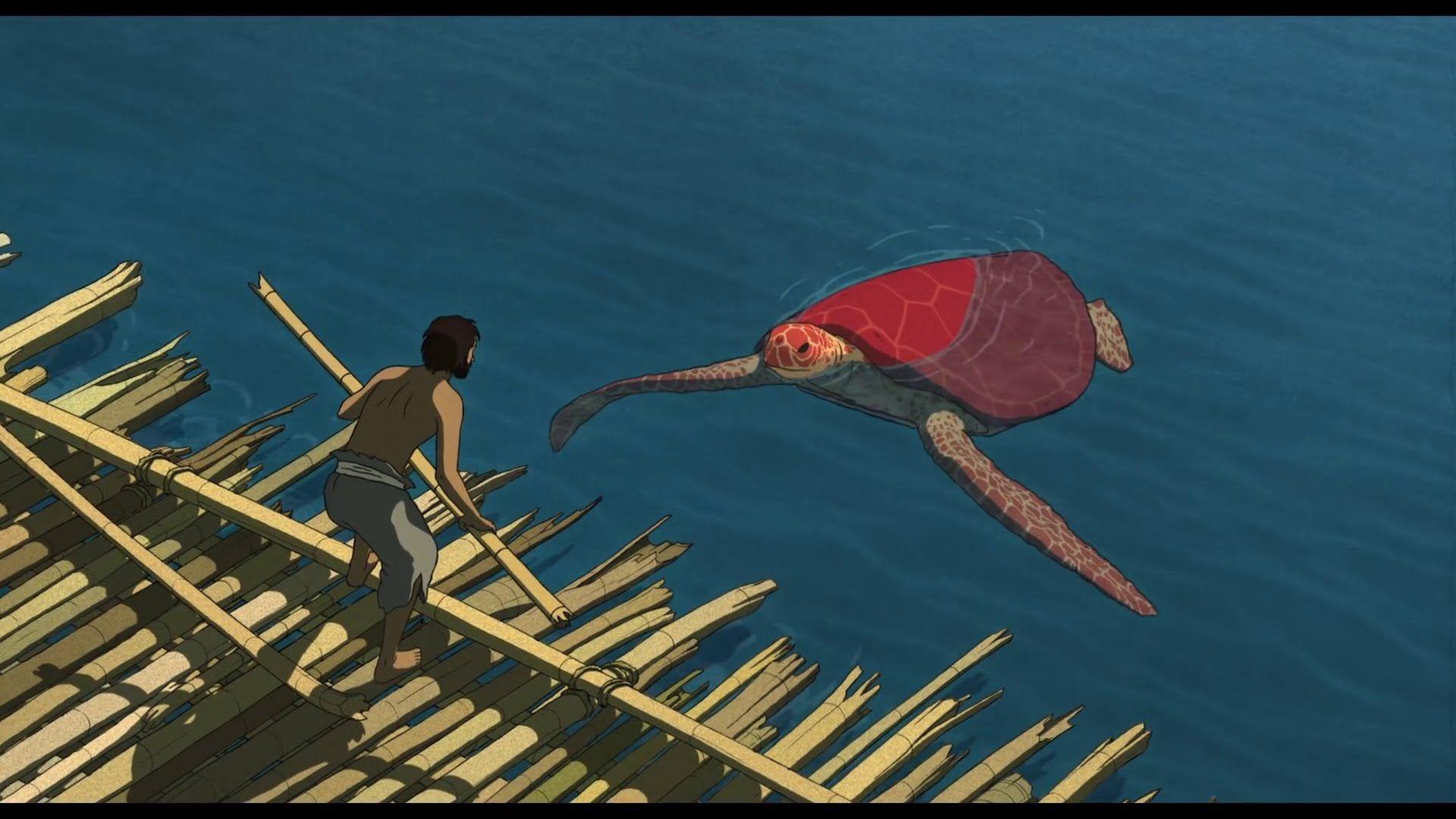The Red Turtle Wallpapers Top Free The Red Turtle Backgrounds