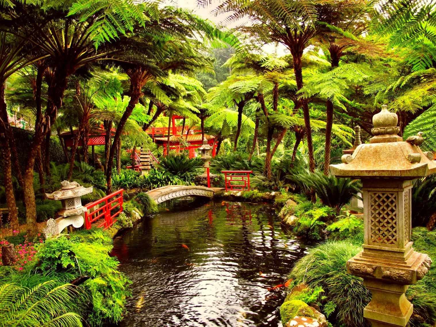 Japanese Flower Garden Wallpapers Top Free Japanese Flower Garden
