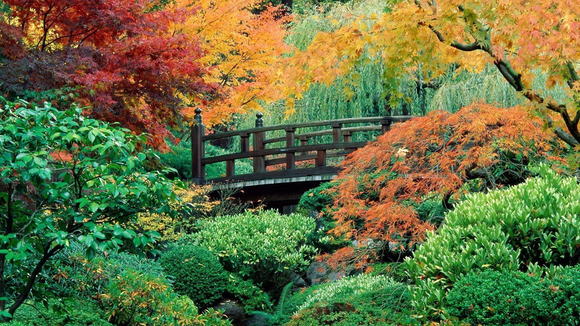 Japanese Flower Garden Wallpapers Top Free Japanese Flower Garden