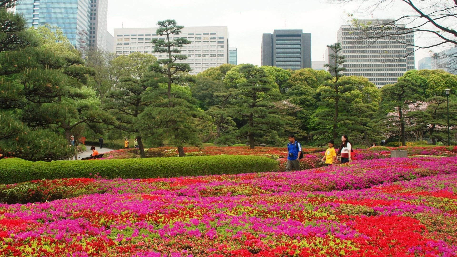 Japanese Flower Garden Wallpapers Top Free Japanese Flower Garden