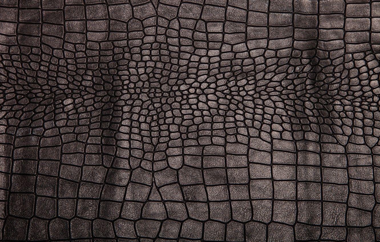 Crocodile Skin Wallpapers Top Free Crocodile Skin Backgrounds