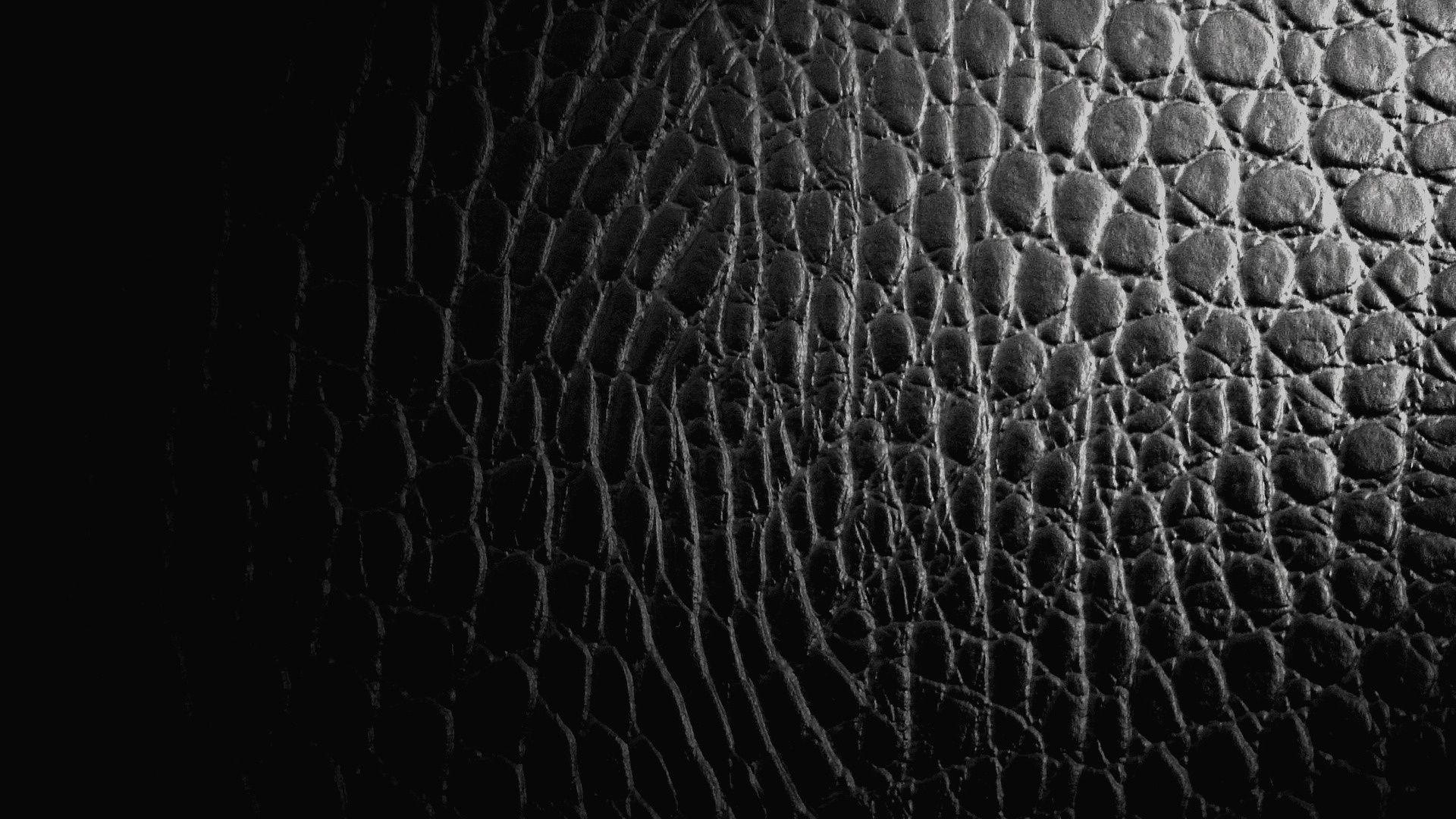 Crocodile Skin Wallpapers Top Free Crocodile Skin Backgrounds
