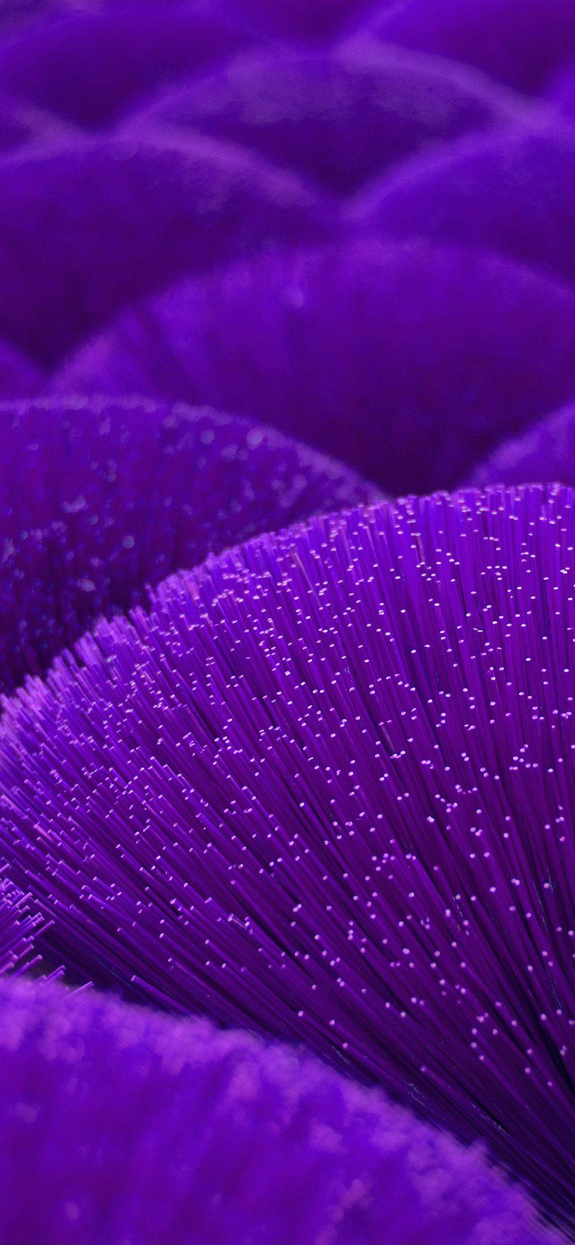 iPhone 12 Purple Wallpapers Top Free iPhone 12 Purple Backgrounds