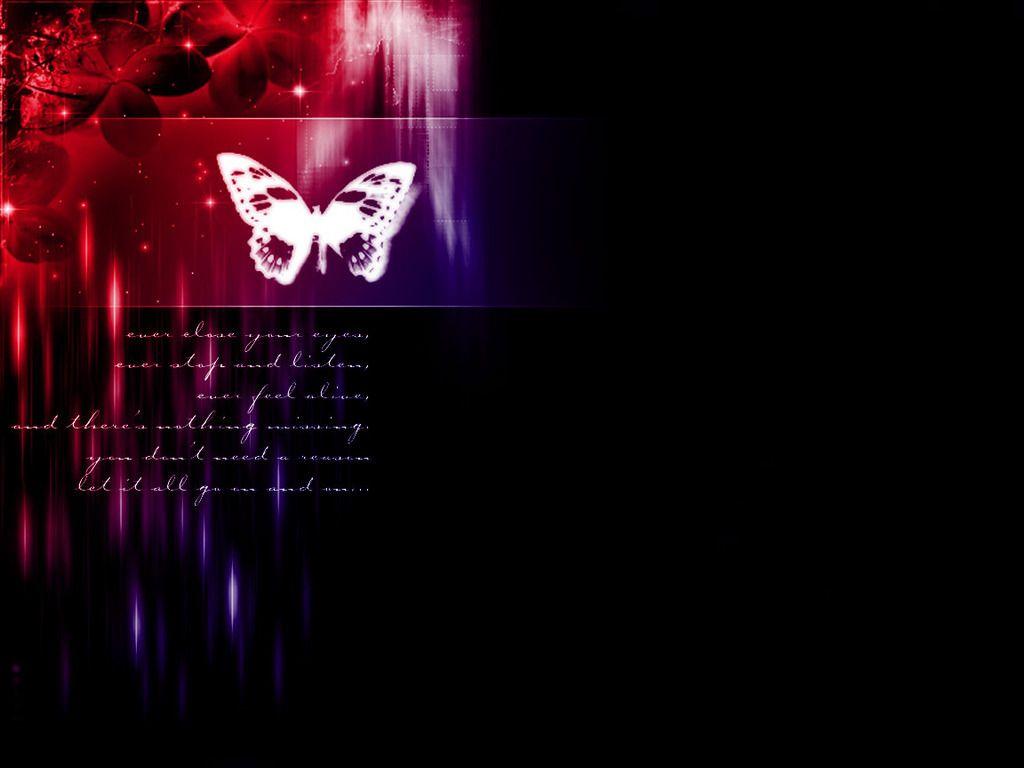 Black and Red Butterfly Wallpapers Top Free Black and Red Butterfly