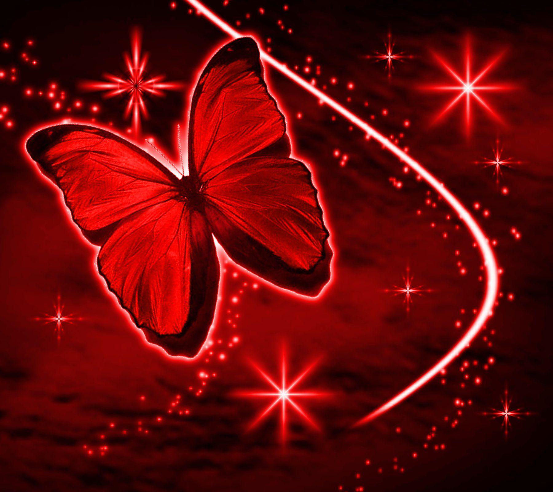 Black and Red Butterfly Wallpapers Top Free Black and Red Butterfly