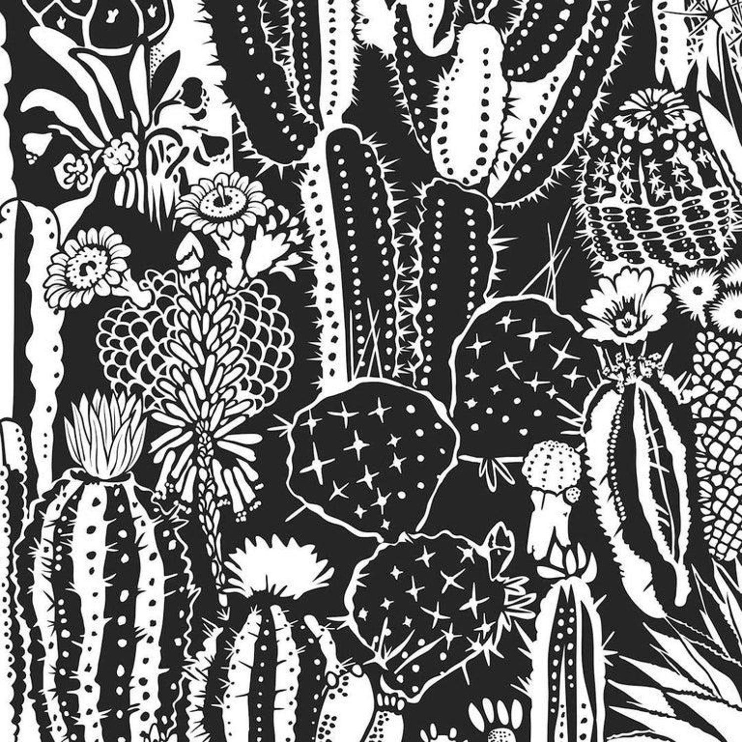Cactus Black and White Wallpapers Top Free Cactus Black and White