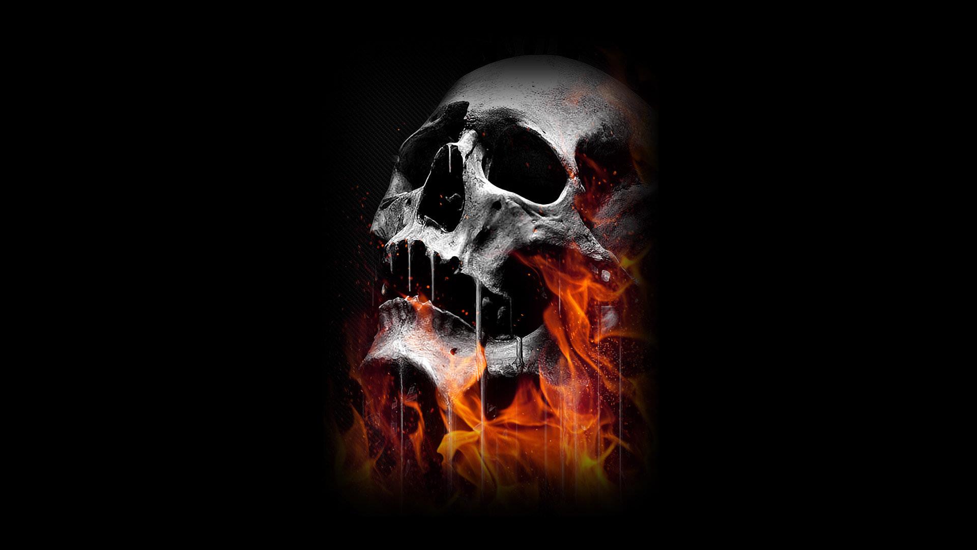 High Resolution Skull Wallpapers Top Free High Resolution Skull