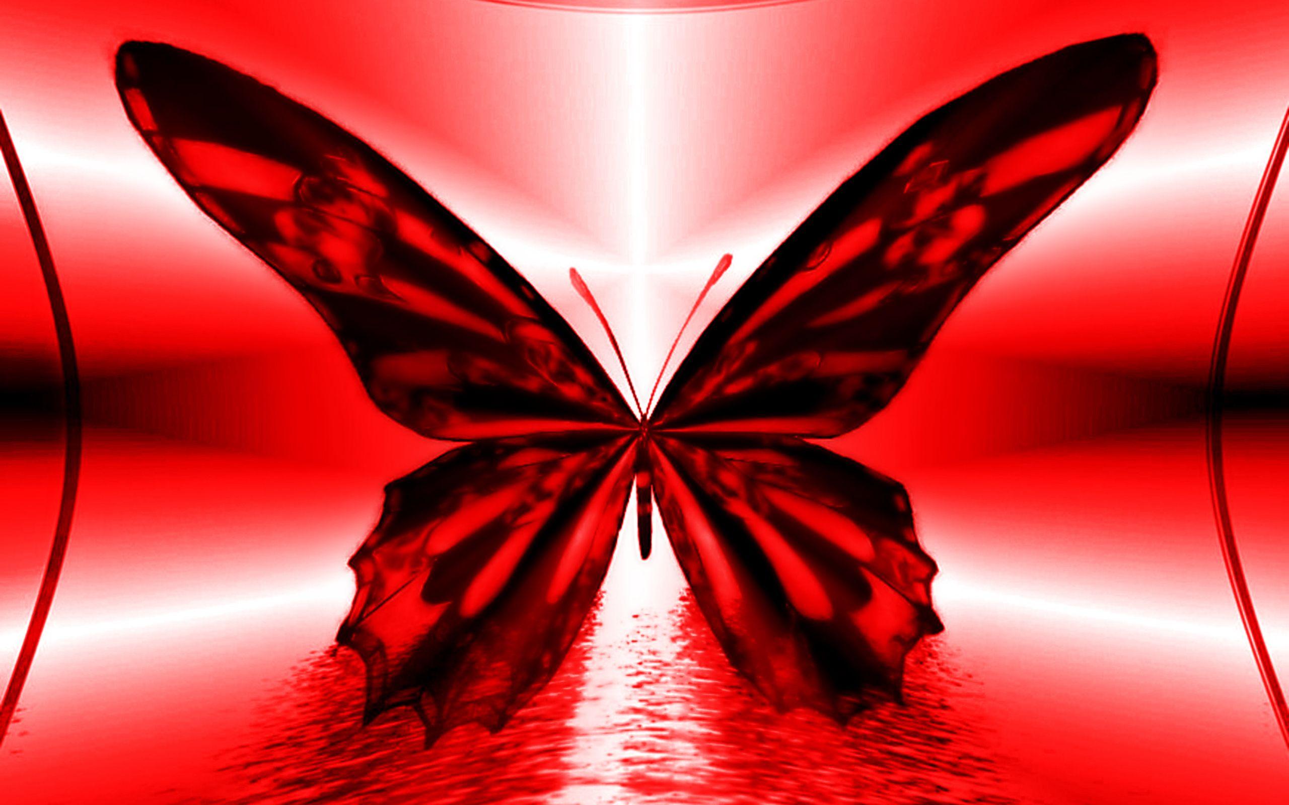 Red Butterfly Wallpapers Top Free Red Butterfly Backgrounds