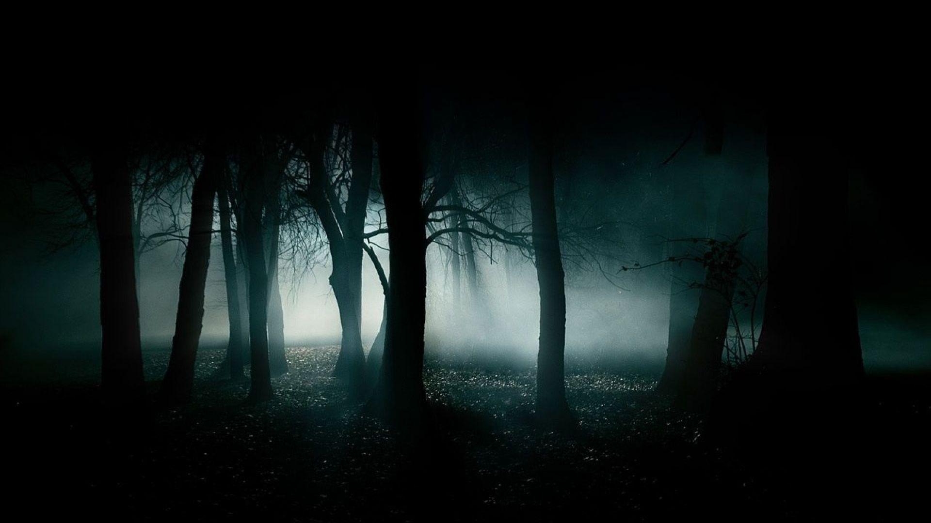 Dark Horror Wallpapers Top Free Dark Horror Backgrounds WallpaperAccess