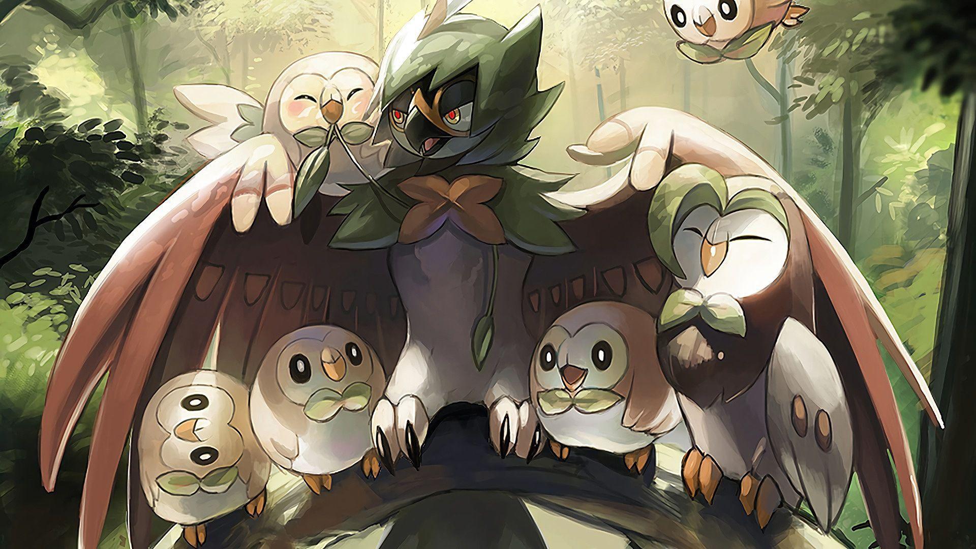 Pokemon Rowlet Wallpapers Top Free Pokemon Rowlet Backgrounds