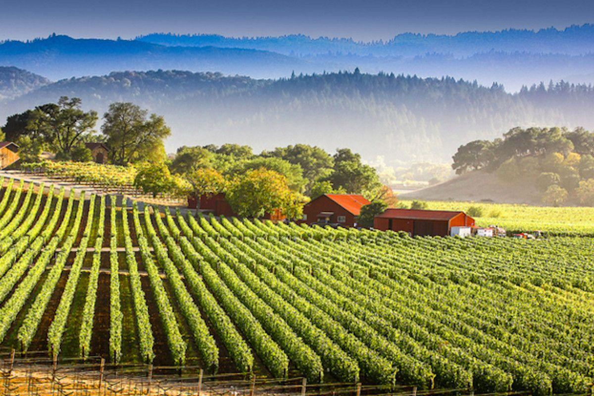 Napa California HD Wallpapers Top Free Napa California HD Backgrounds