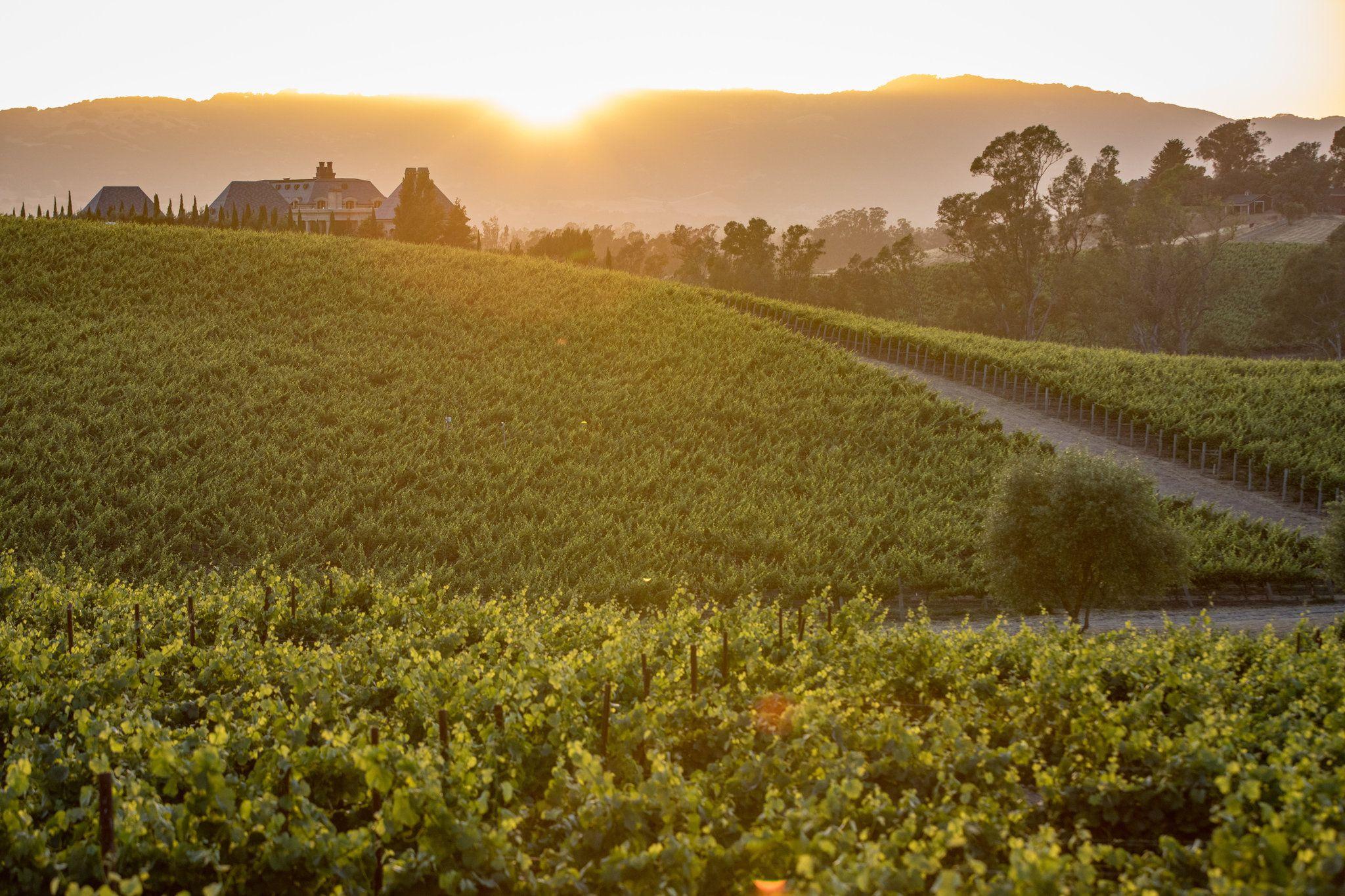 Napa California HD Wallpapers Top Free Napa California HD Backgrounds