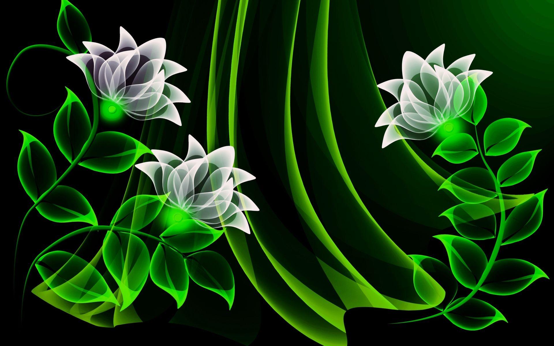 Green and White Flowers Wallpapers Top Free Green and White Flowers